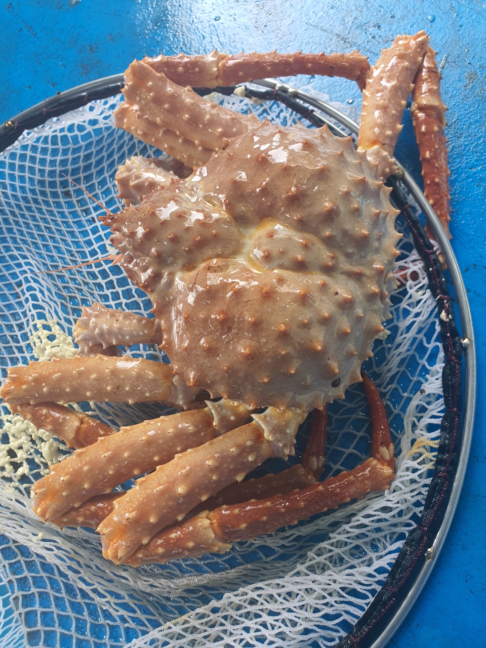 정현수산