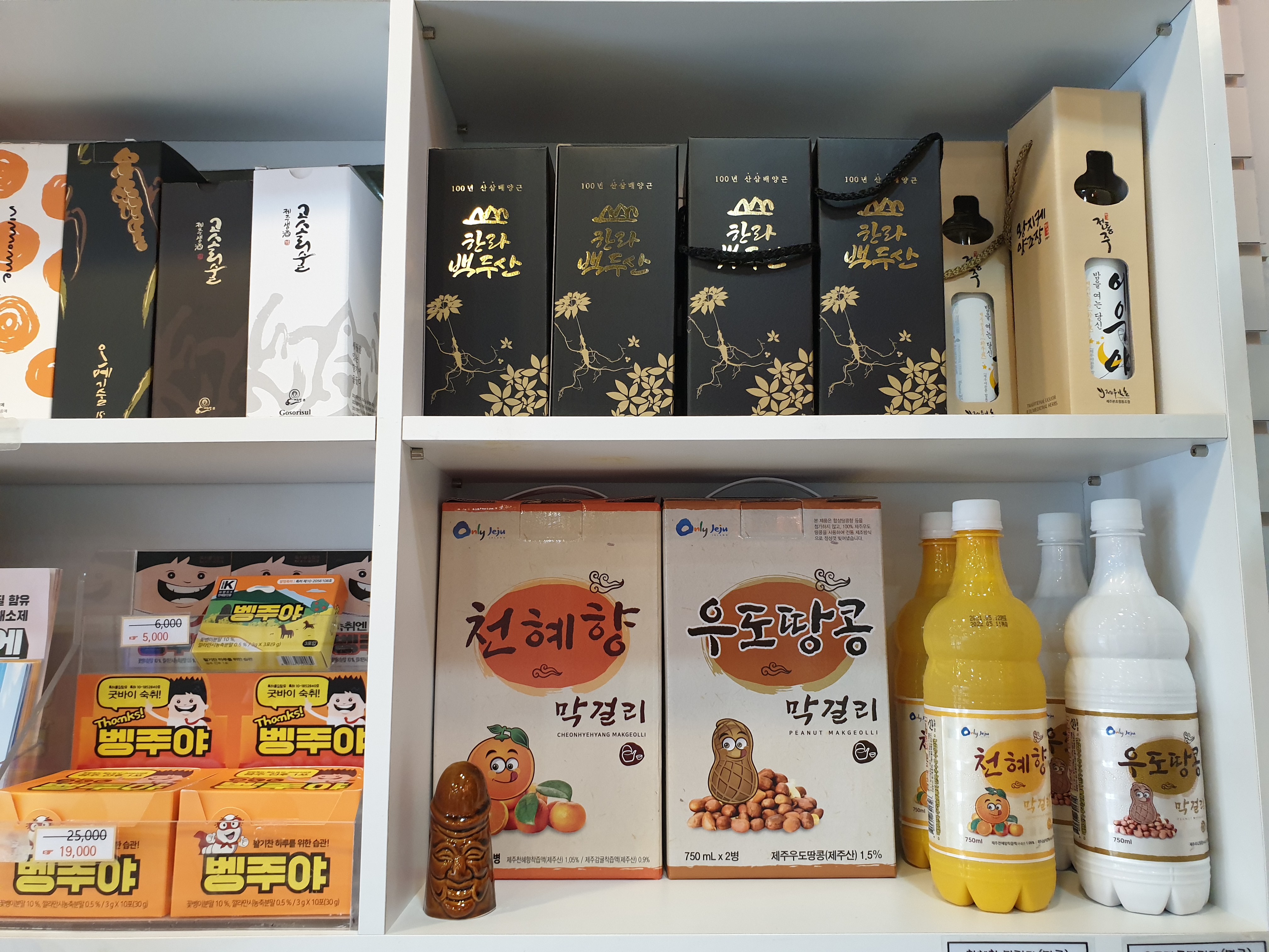 제주도푸른밤 JEFU