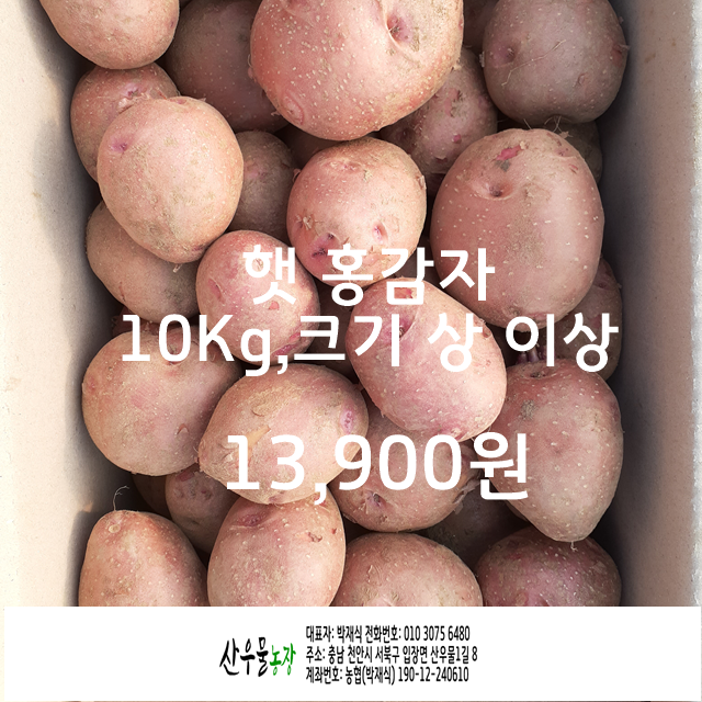 산현농장 반려동물 동반 애견카페