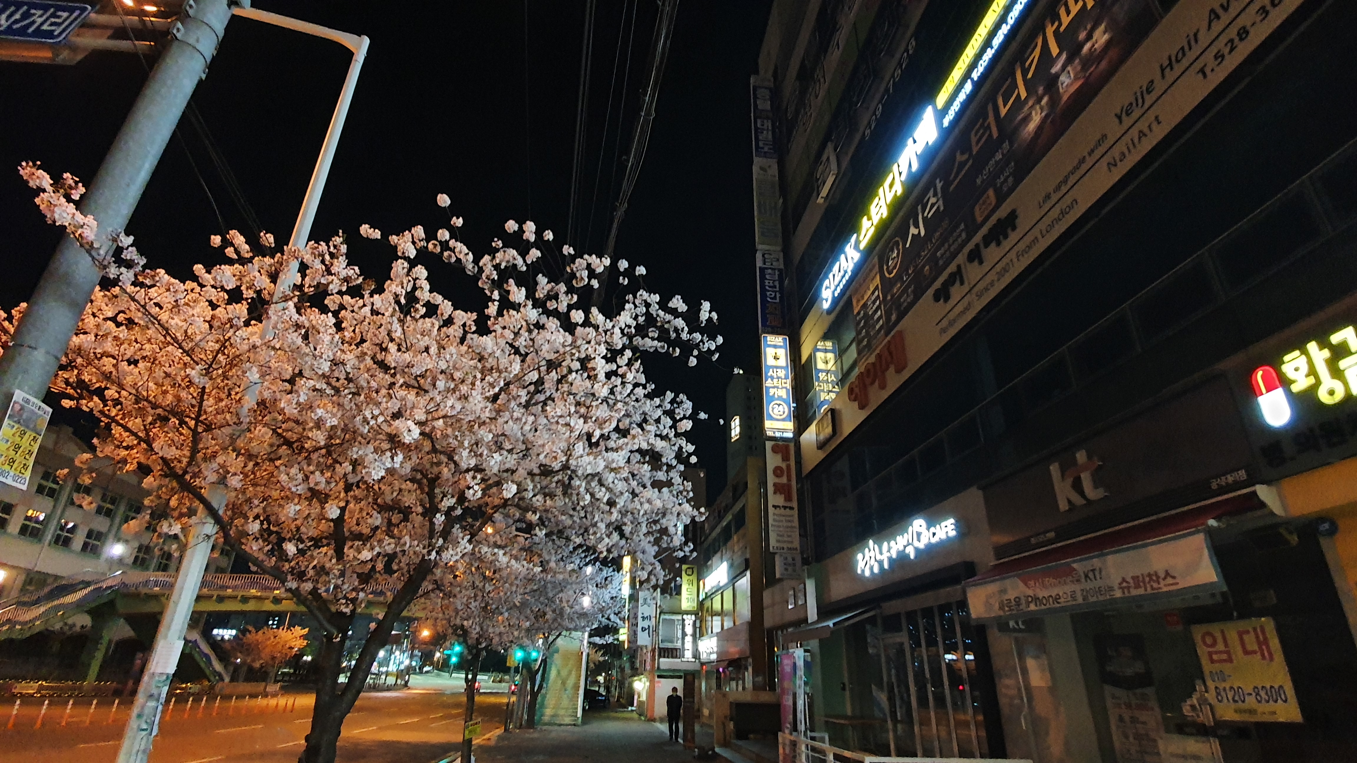 업체사진