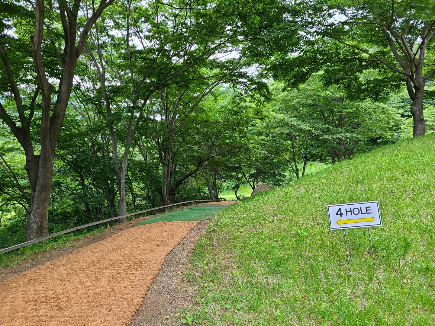 WG스포츠파크고성 대표 이미지