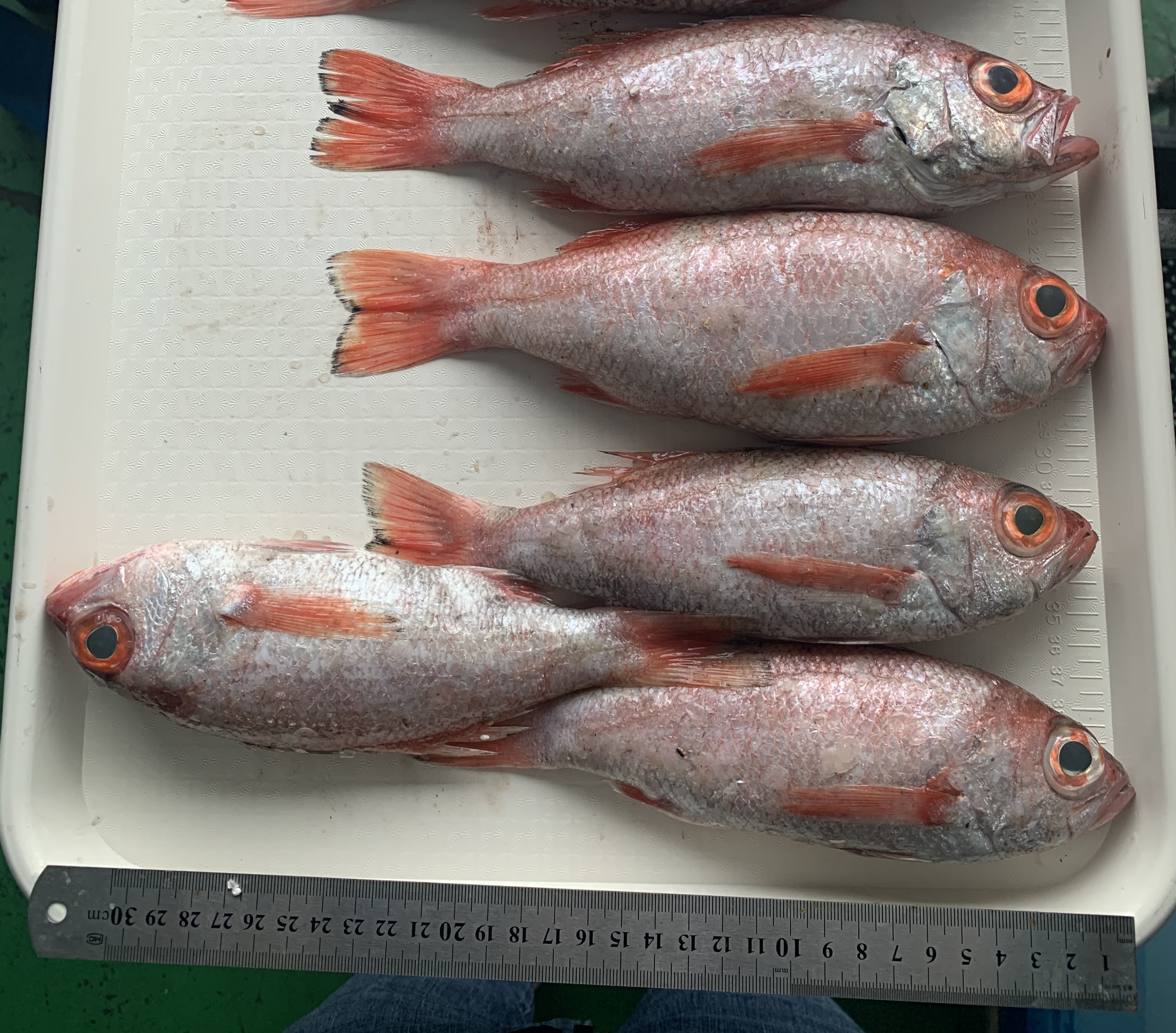 해인수산