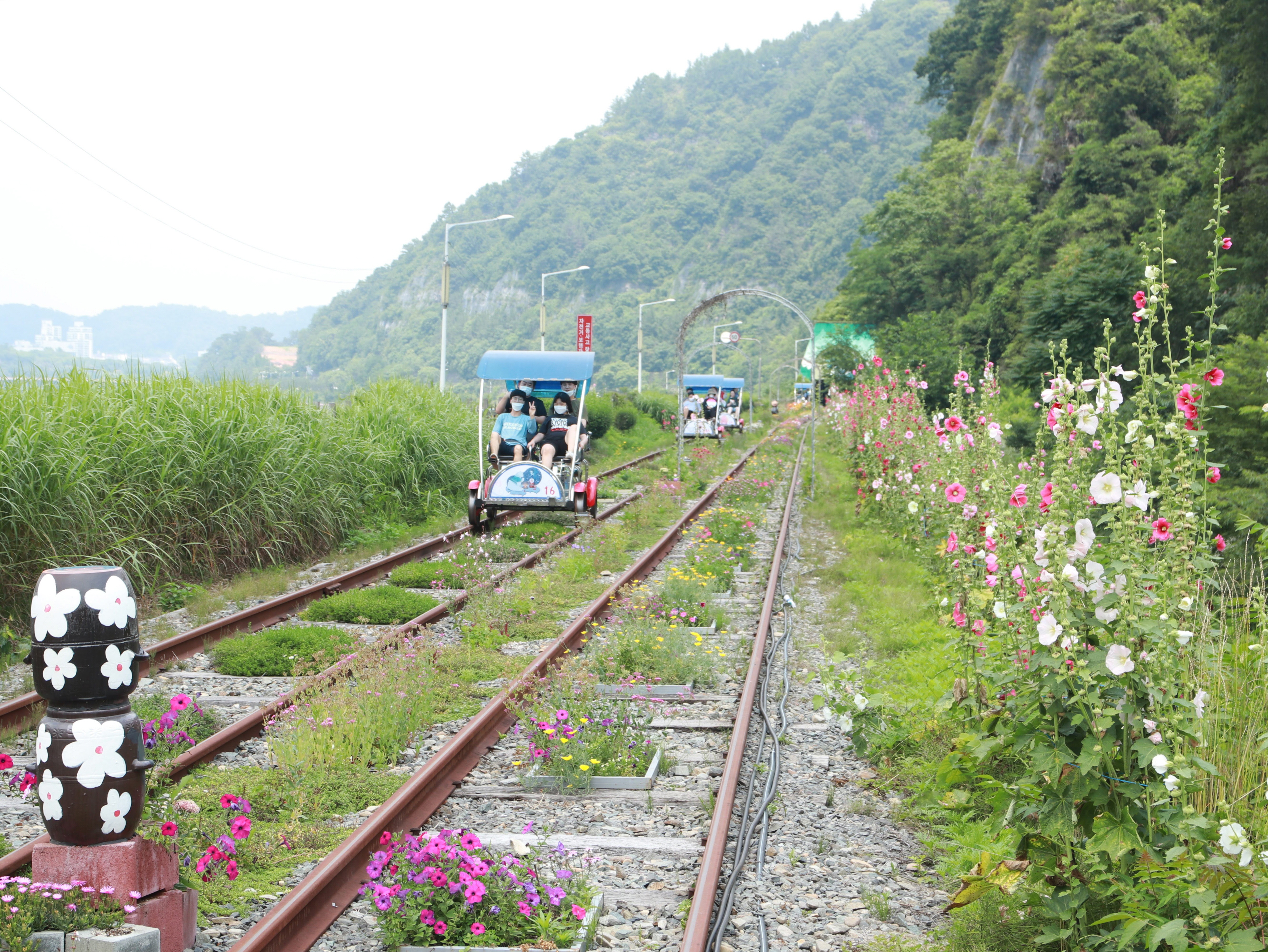 진주 레일바이크 경상 애견여행지