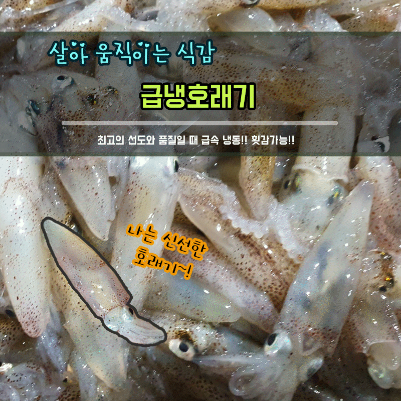 해인수산