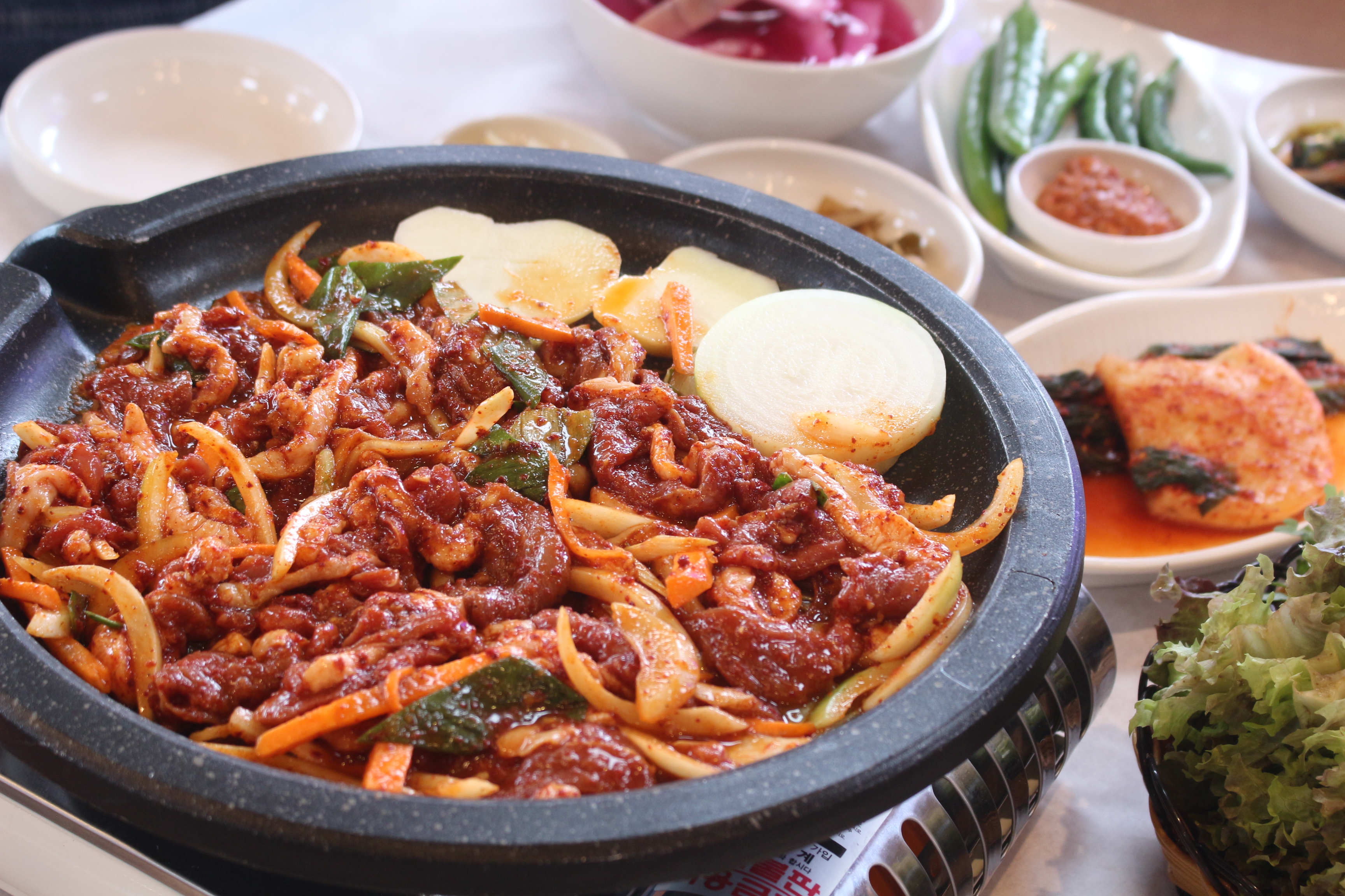 이대가장수촌 반려동물 동반 애견카페