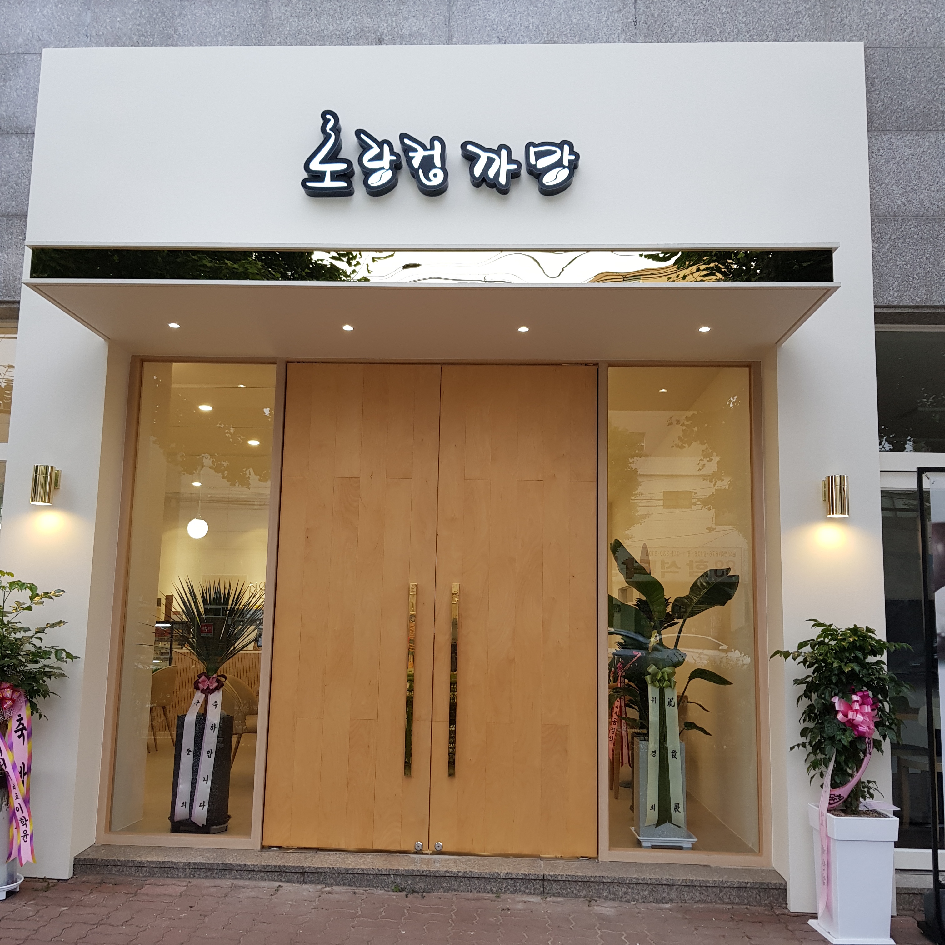 노랑컵까망