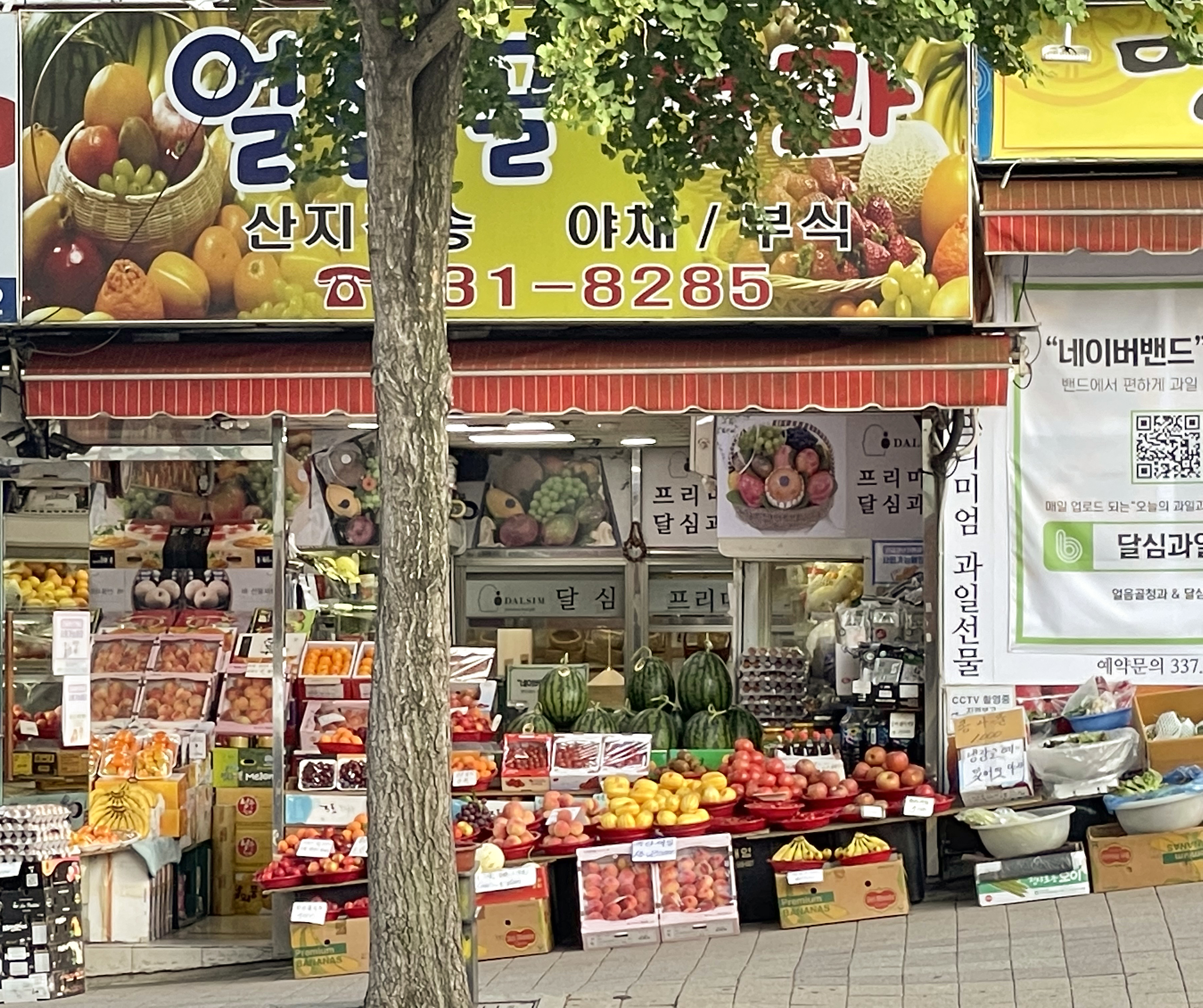얼음골청과