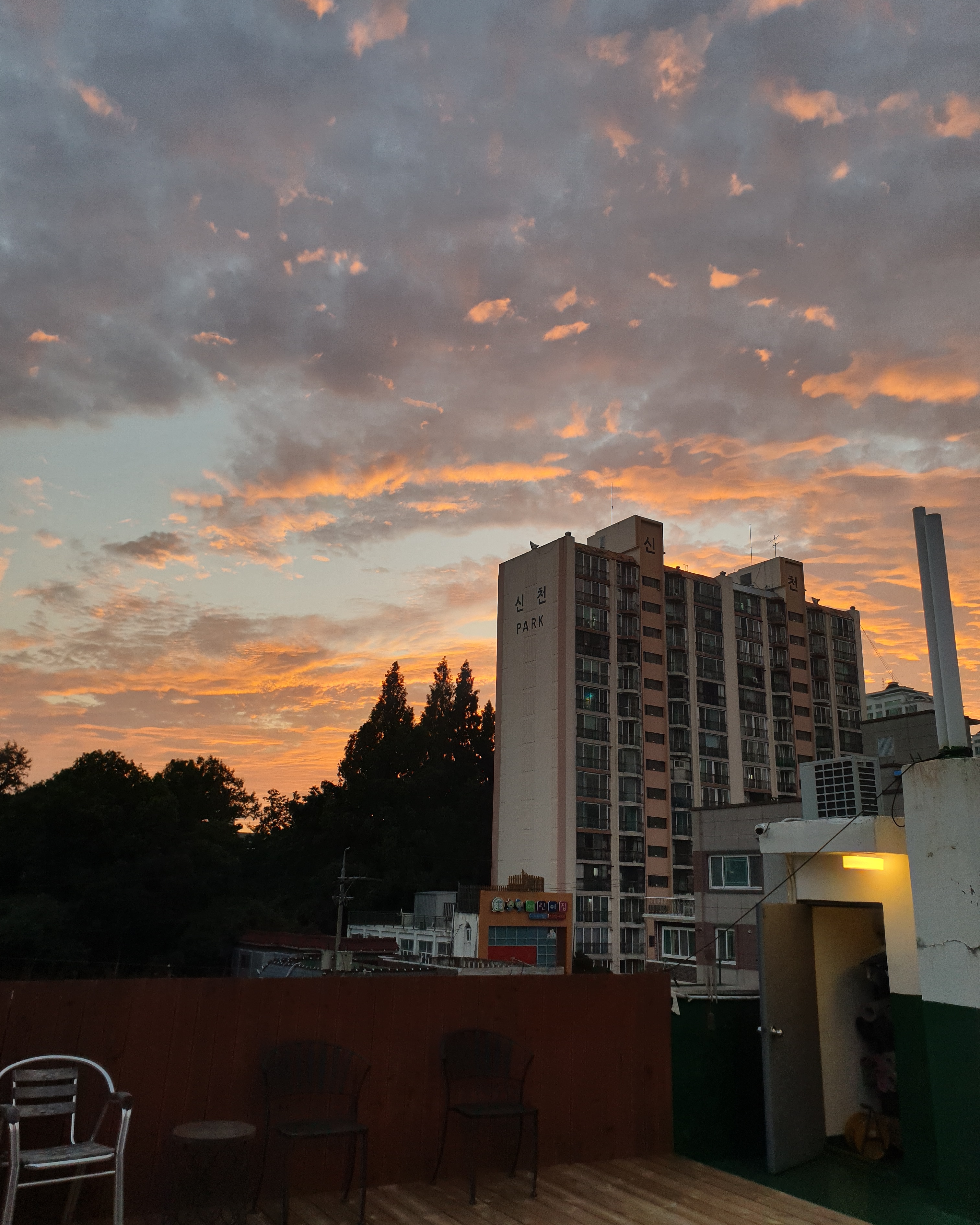 보야져스