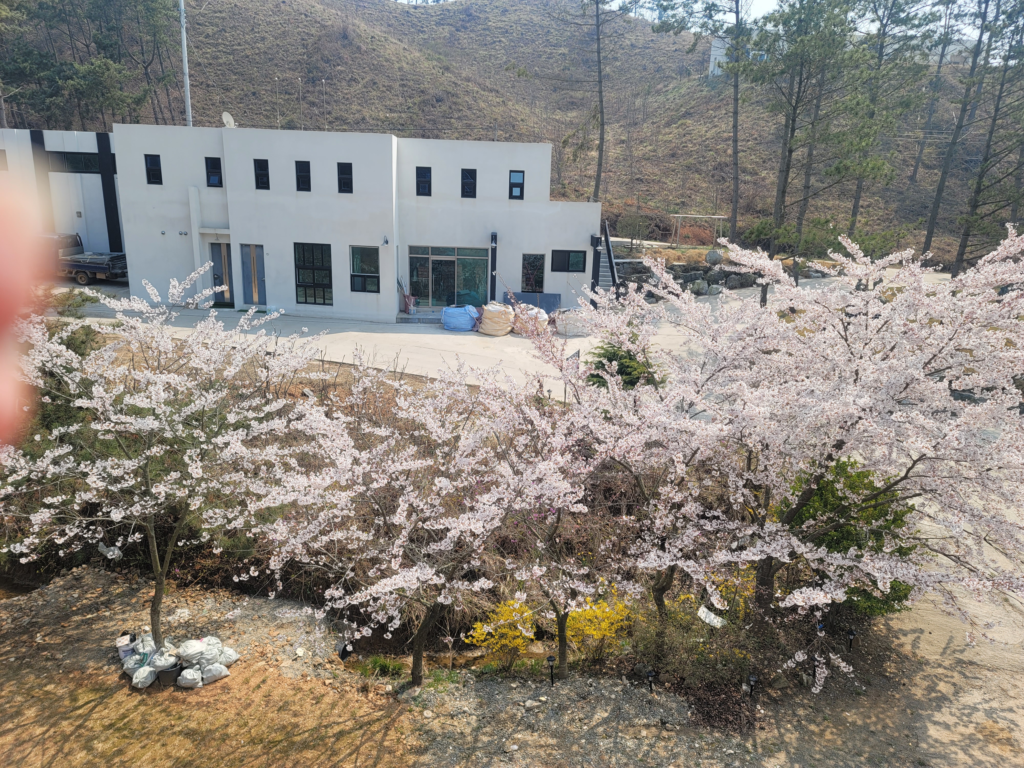 해송펜션