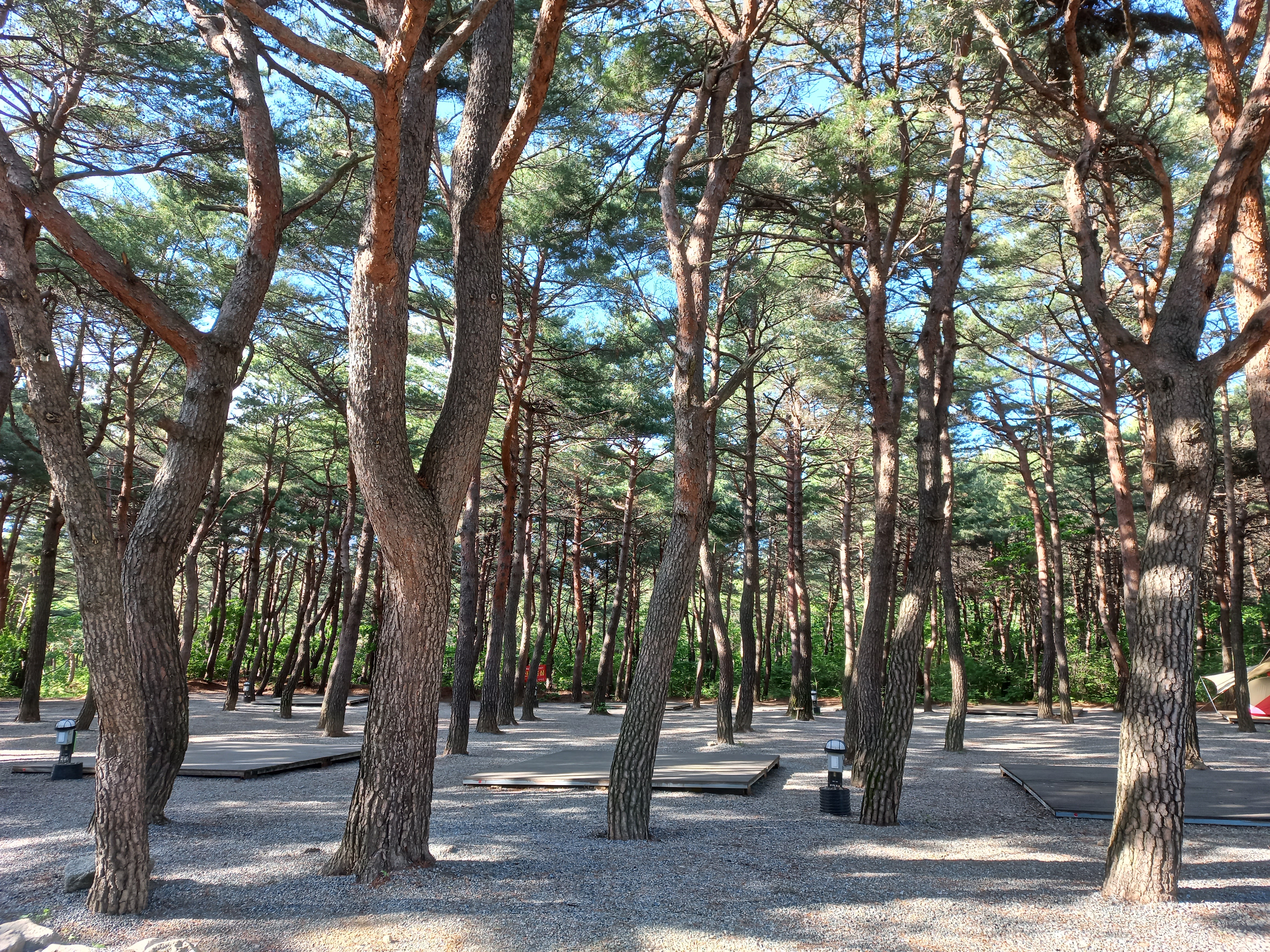 양양 솔바다 캠핑장