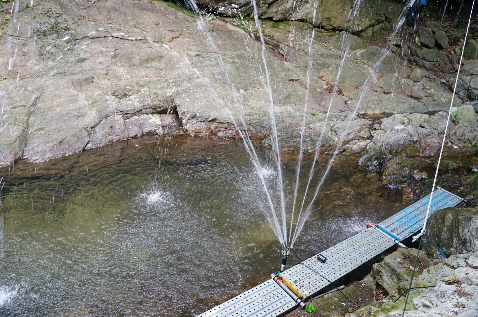 숲속산장