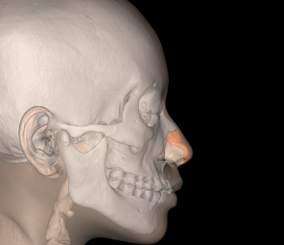 핏미 대표 이미지