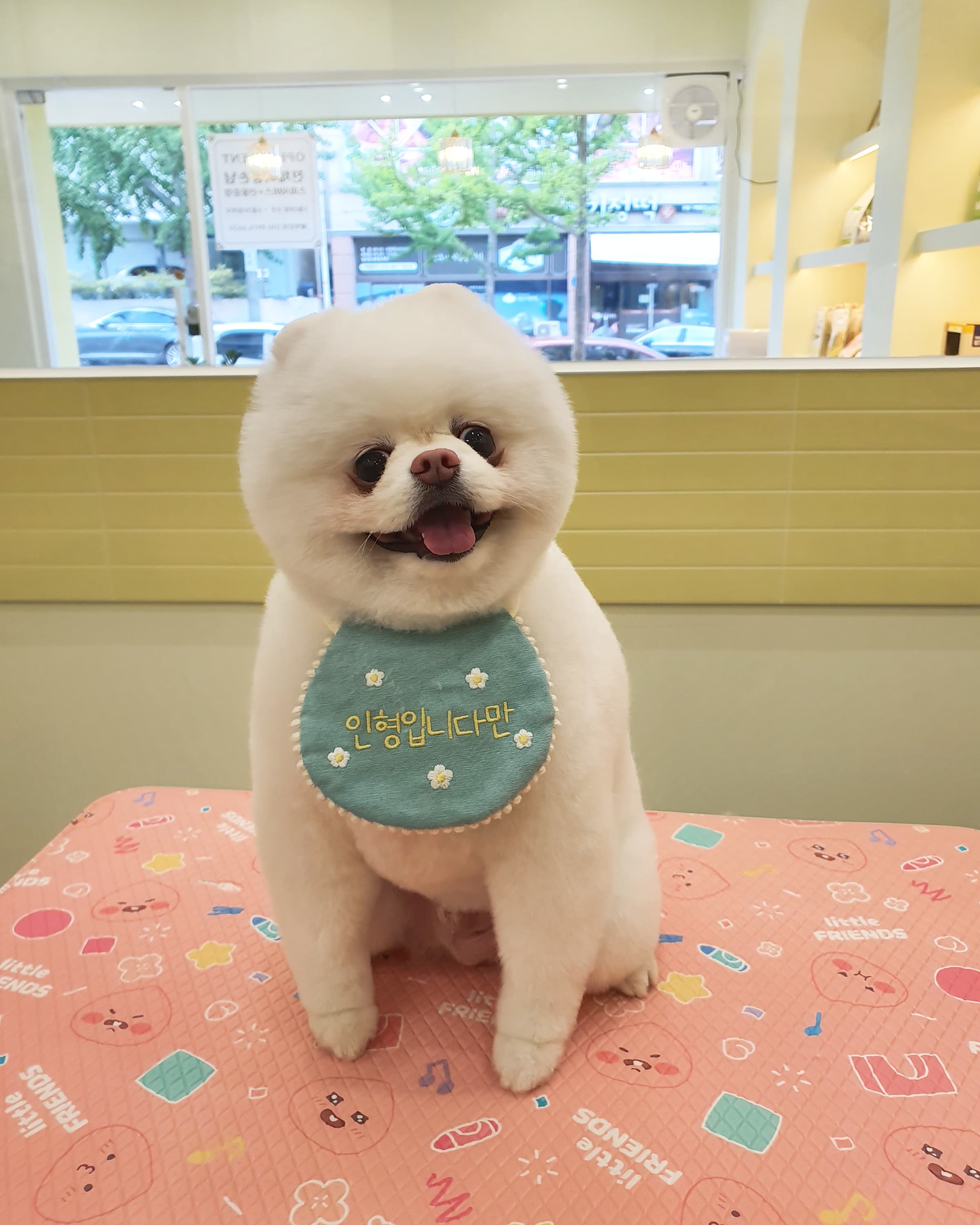 벨리몽
