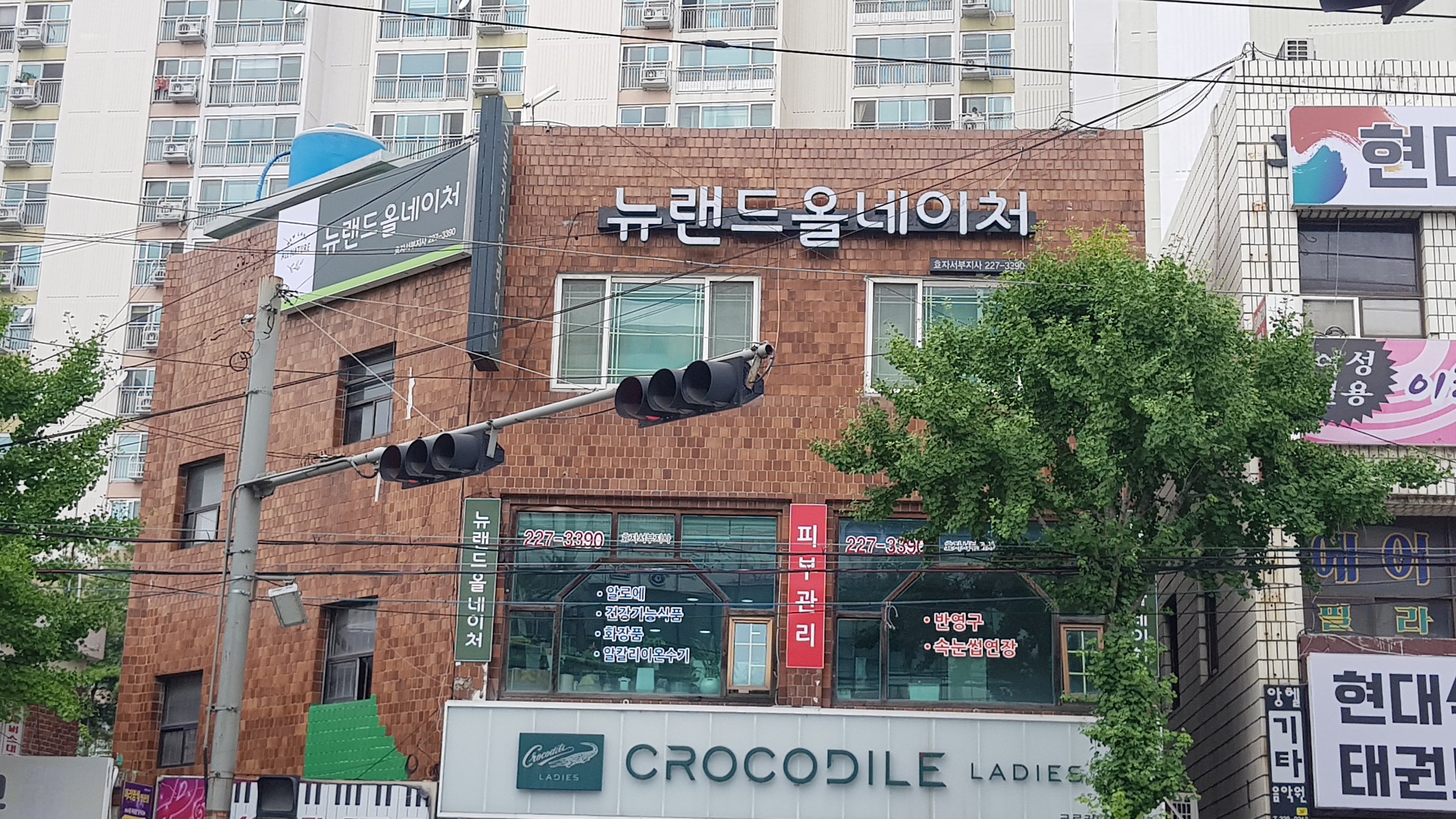 뉴랜드올네이처 효자서부지사