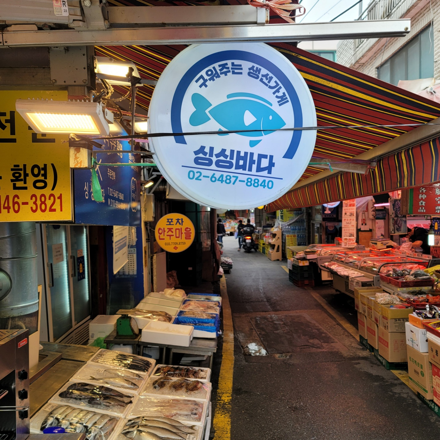 싱싱바다