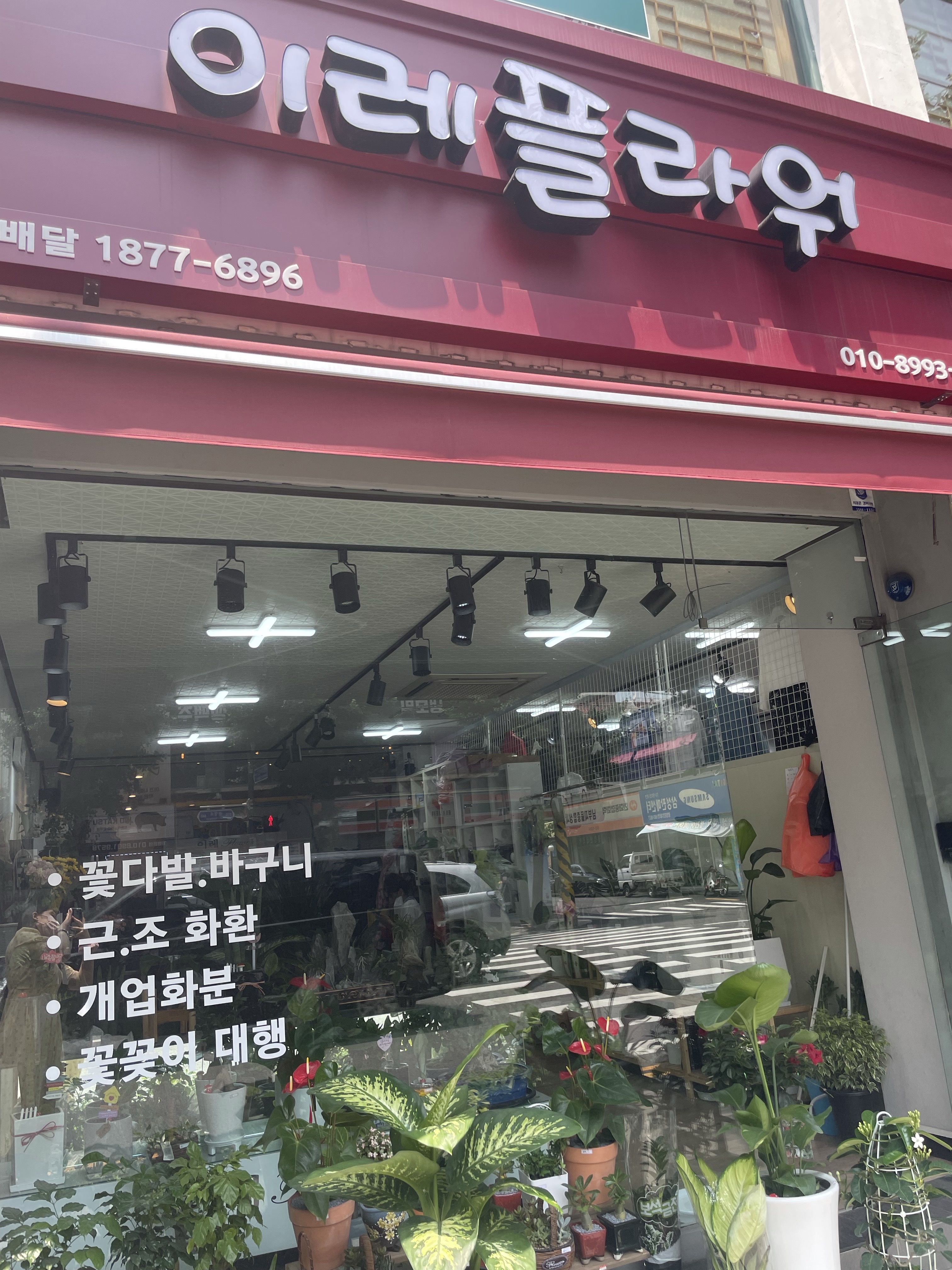 이레플라워