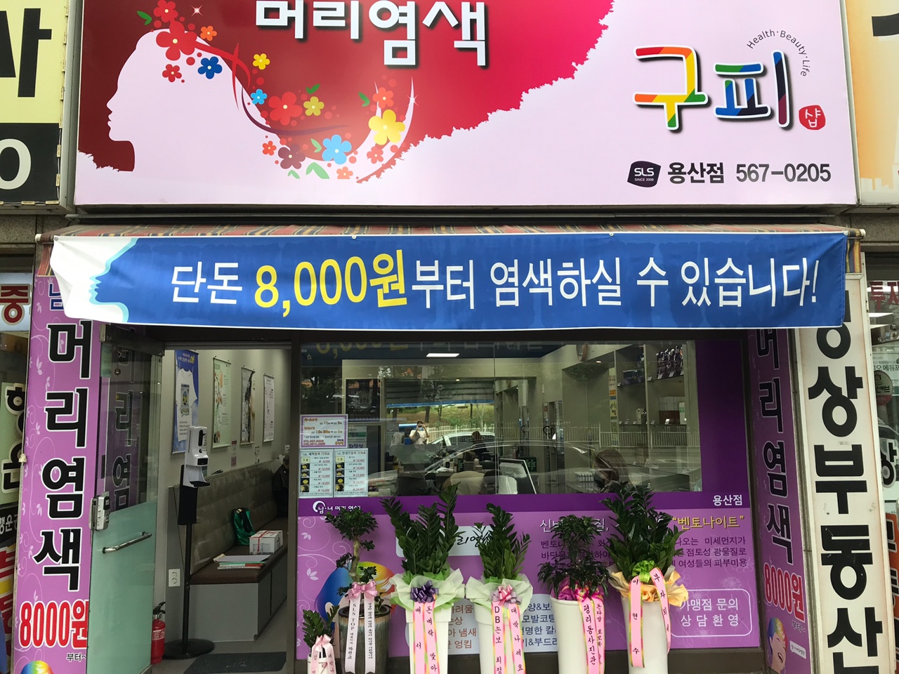 구피샵 대구용산점