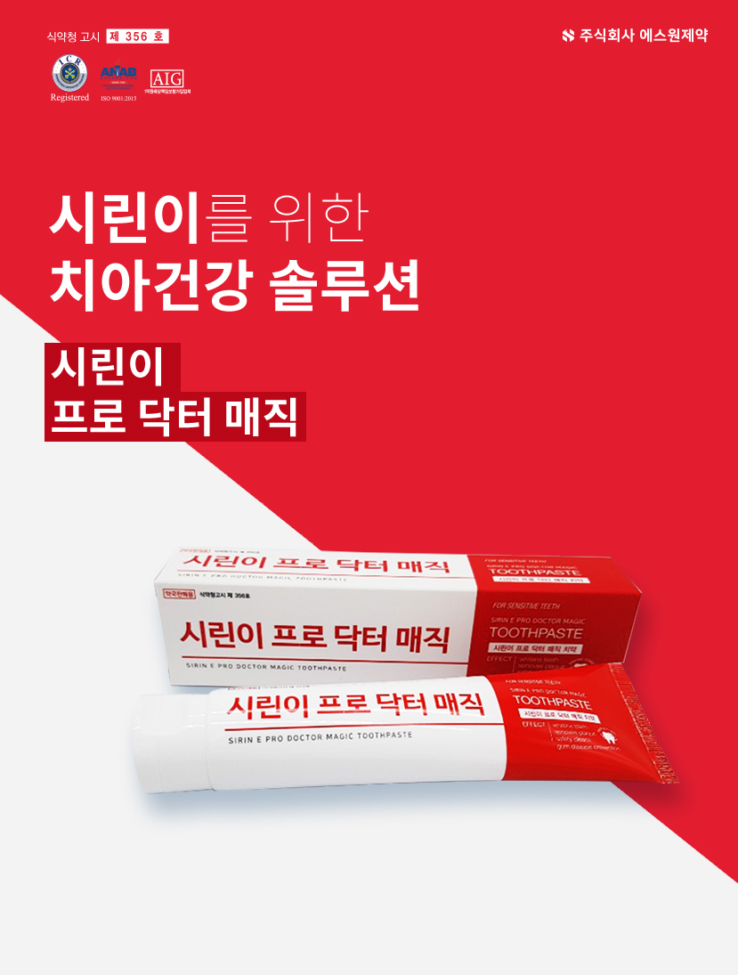 세종 디앤티