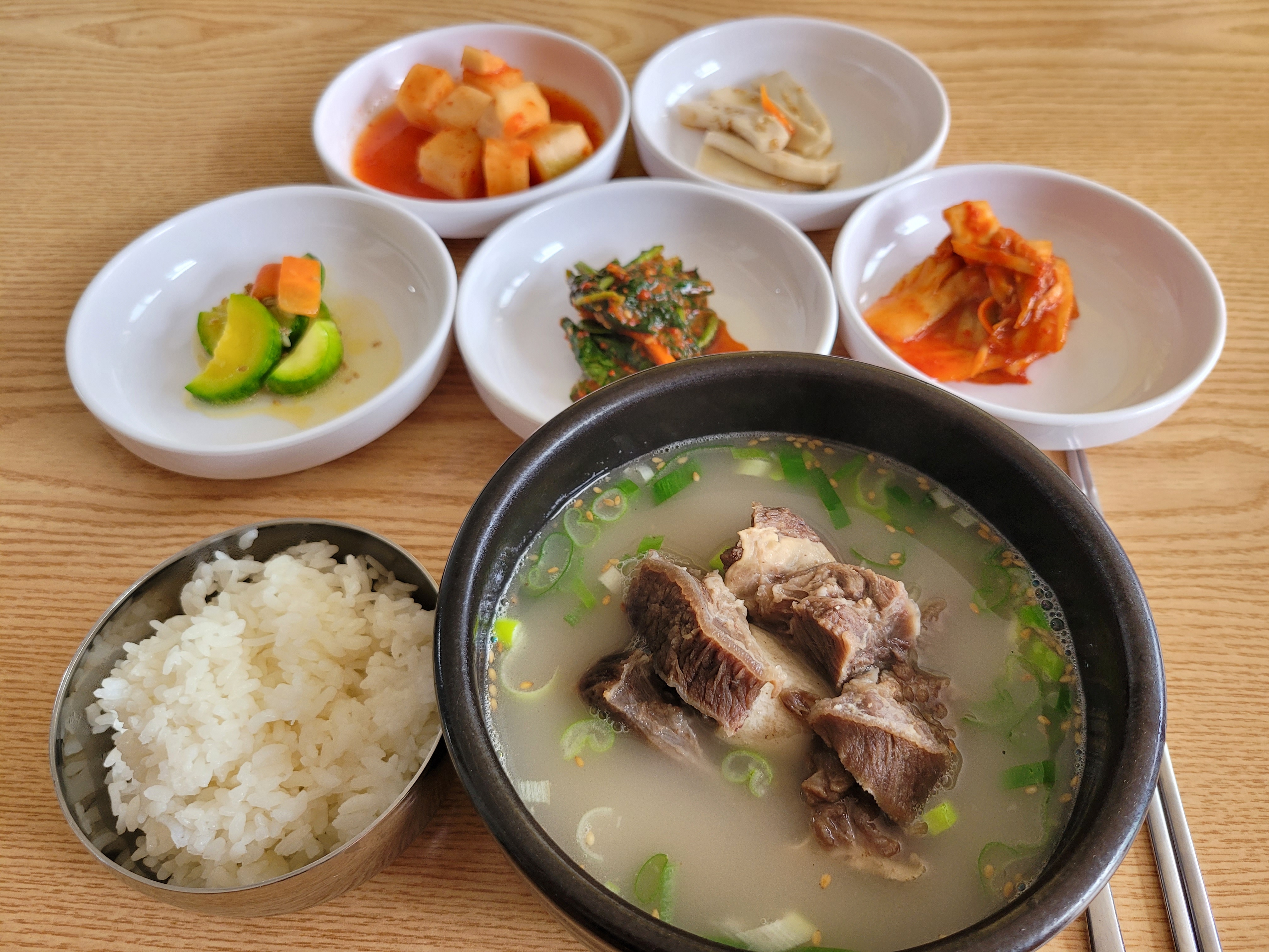 새 경상 애견맛집