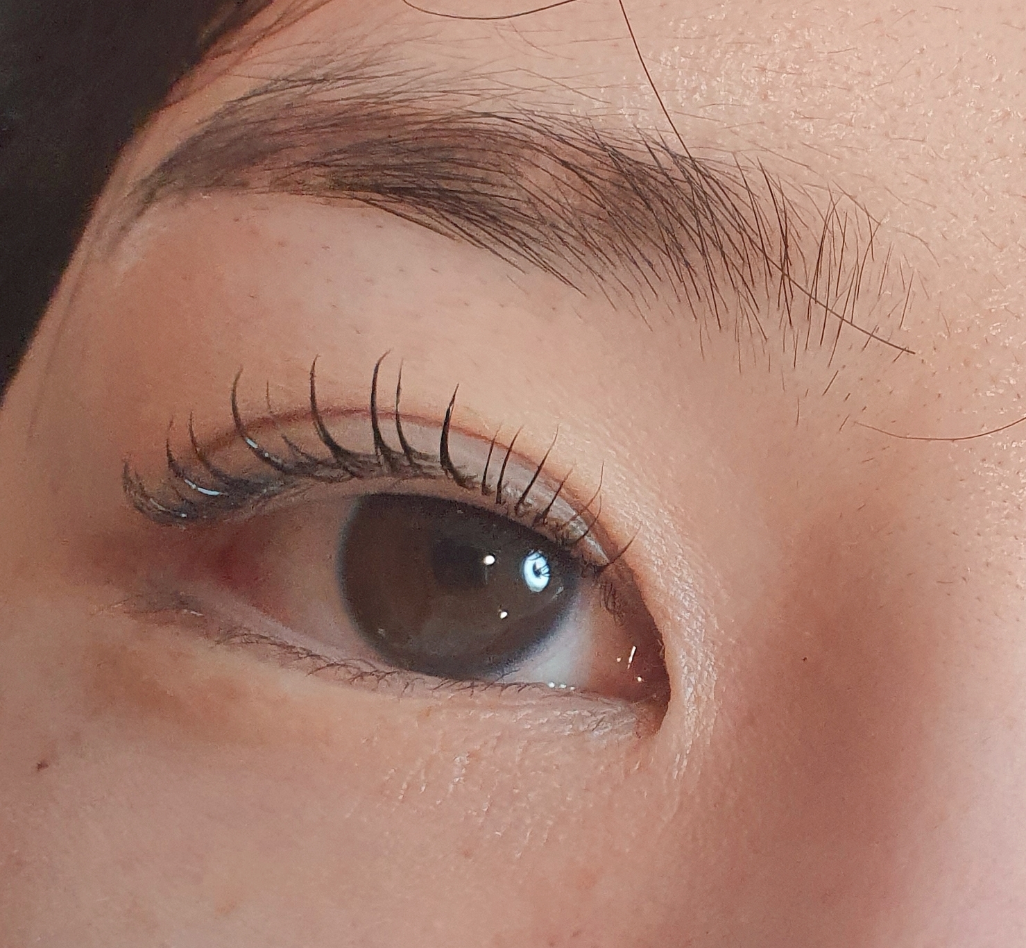 에프터눈 대표 이미지