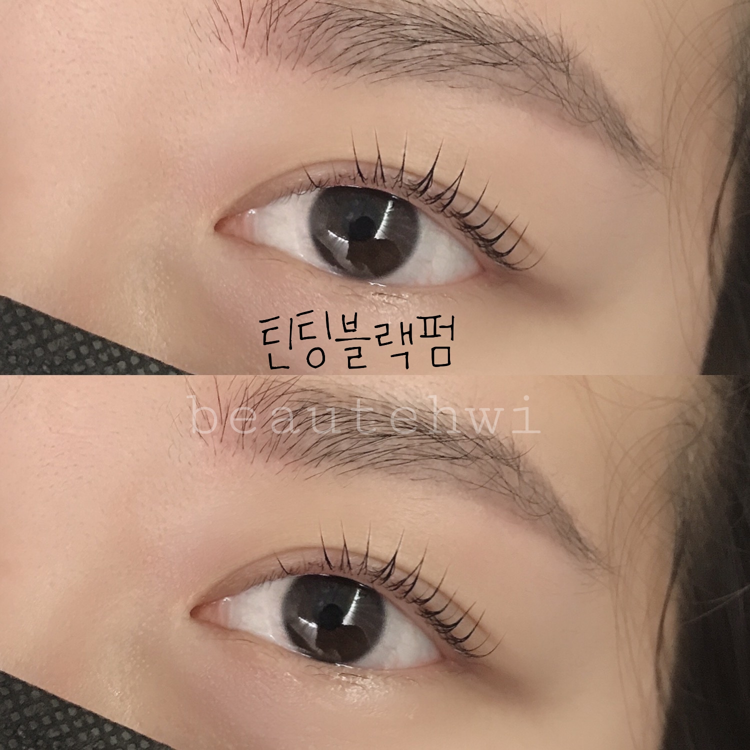 보테휘