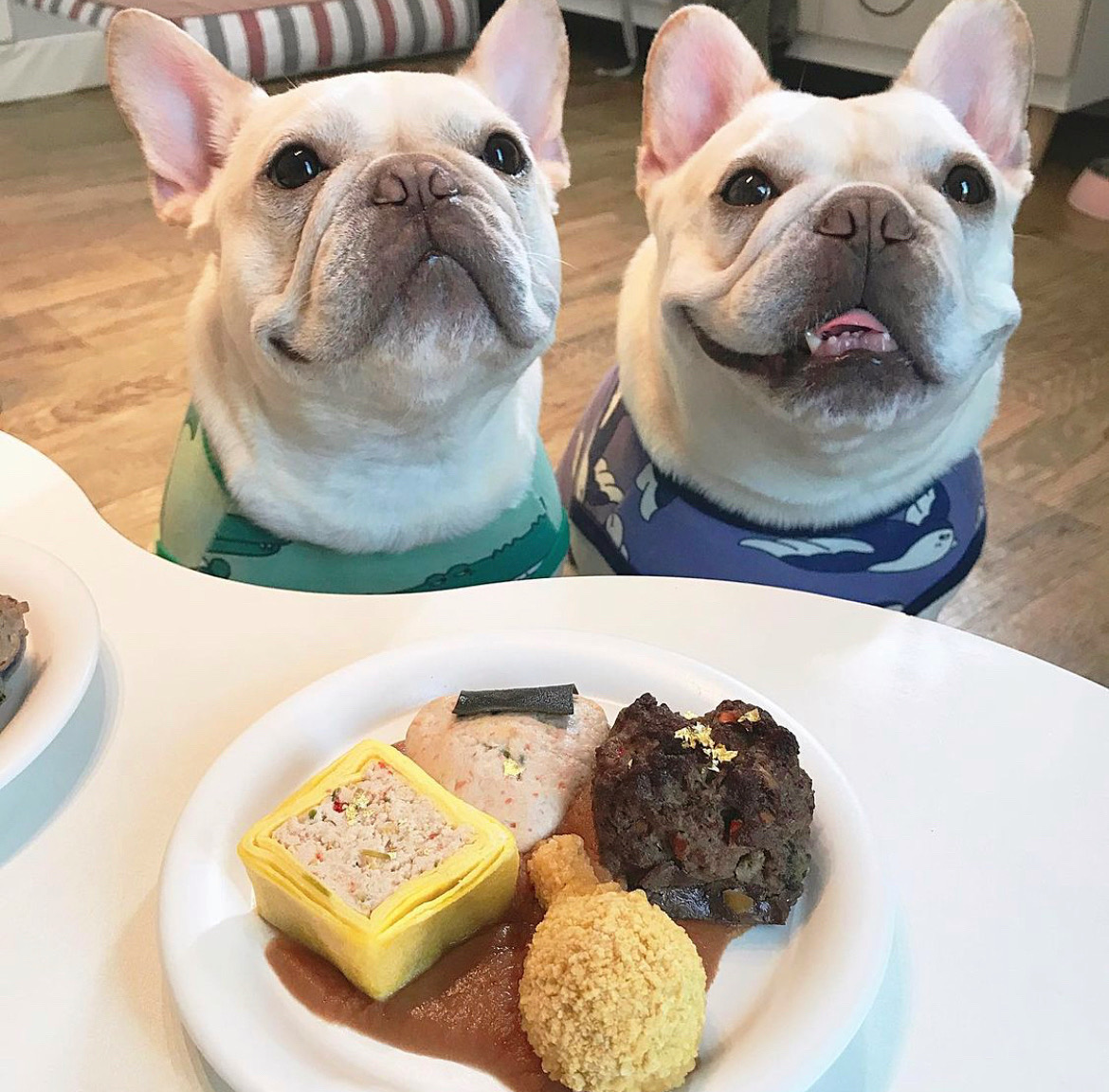 동해 너랑온 애견펜션 대표 이미지