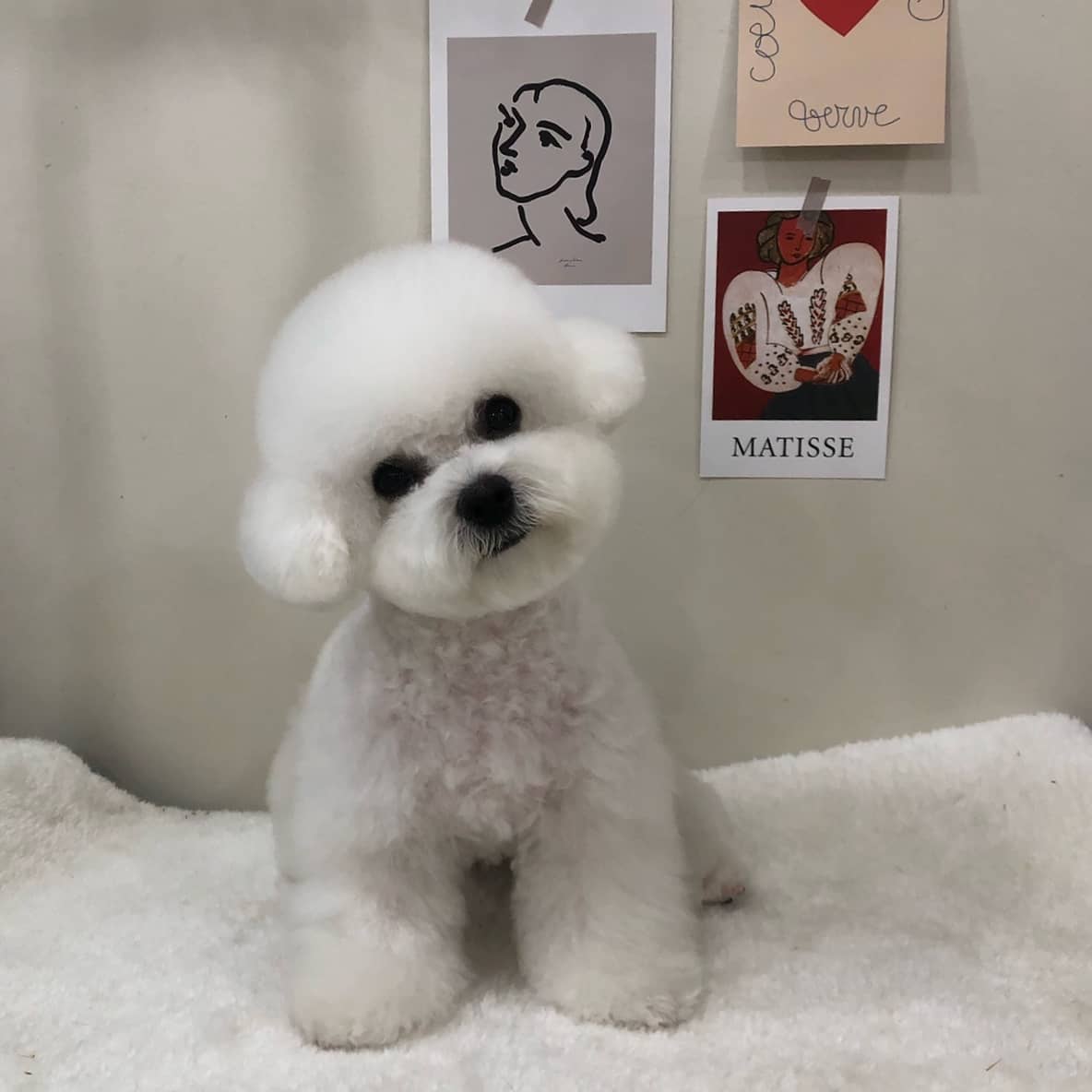 뚜아네 대표 이미지