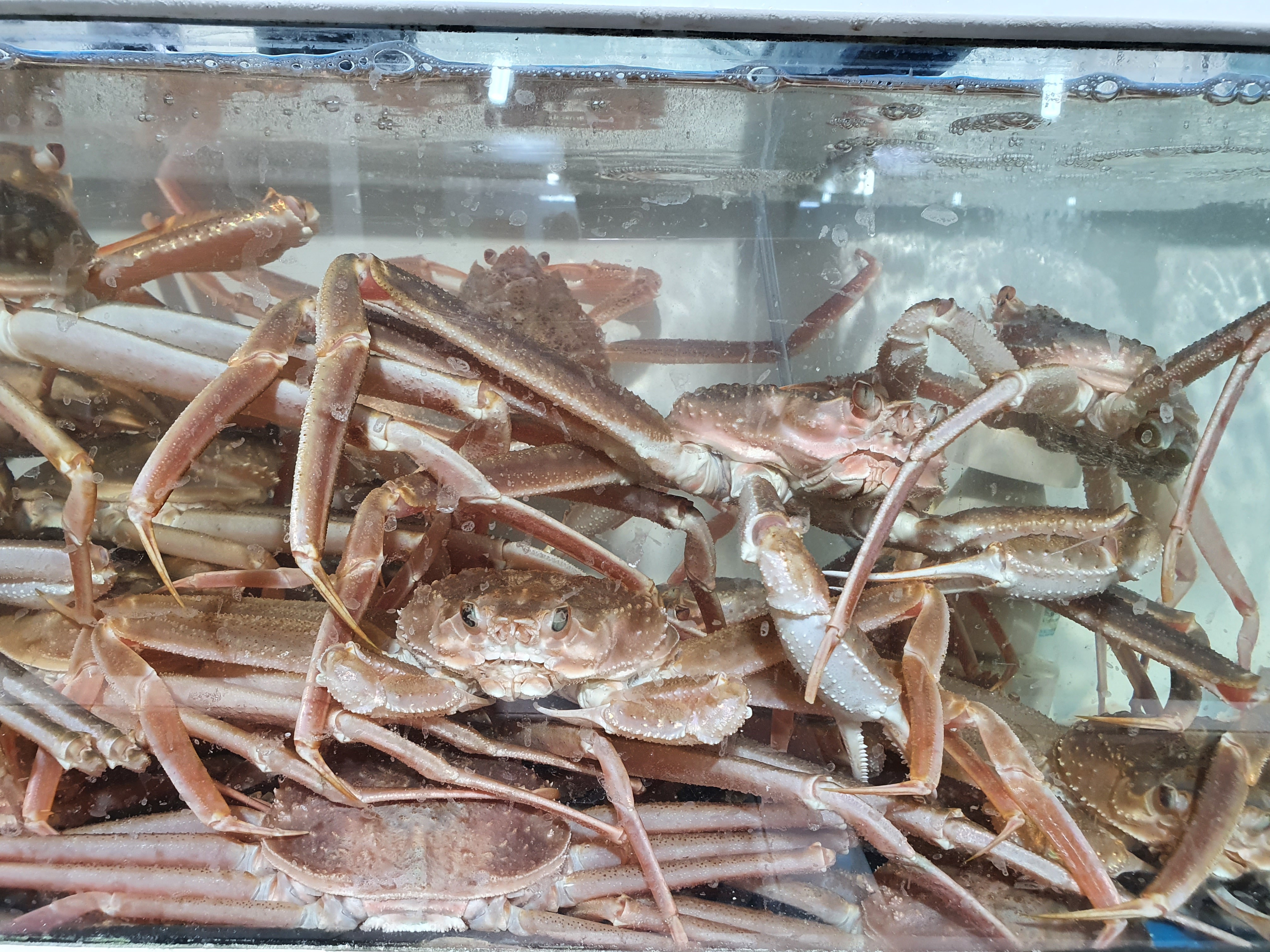 영해수산센타