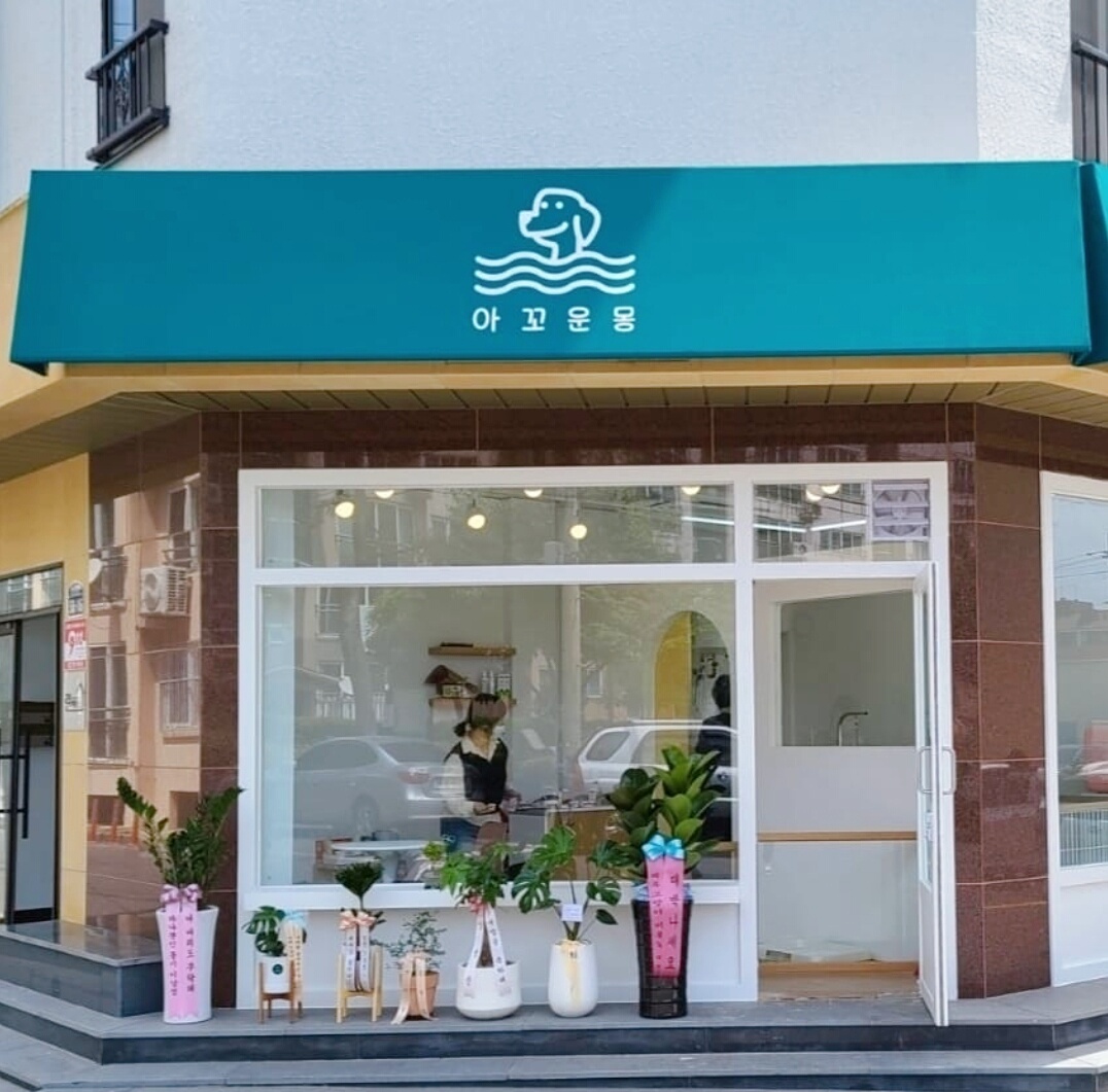 아꼬운몽 대표 이미지