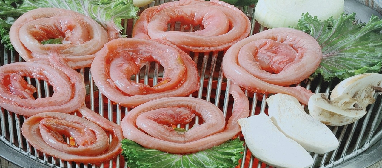 산꼼장어랑민물장어
