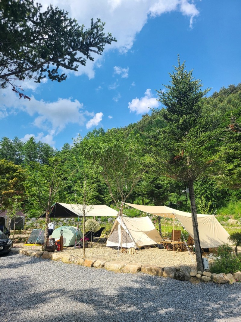 평창 자연속쉼표캠핑장