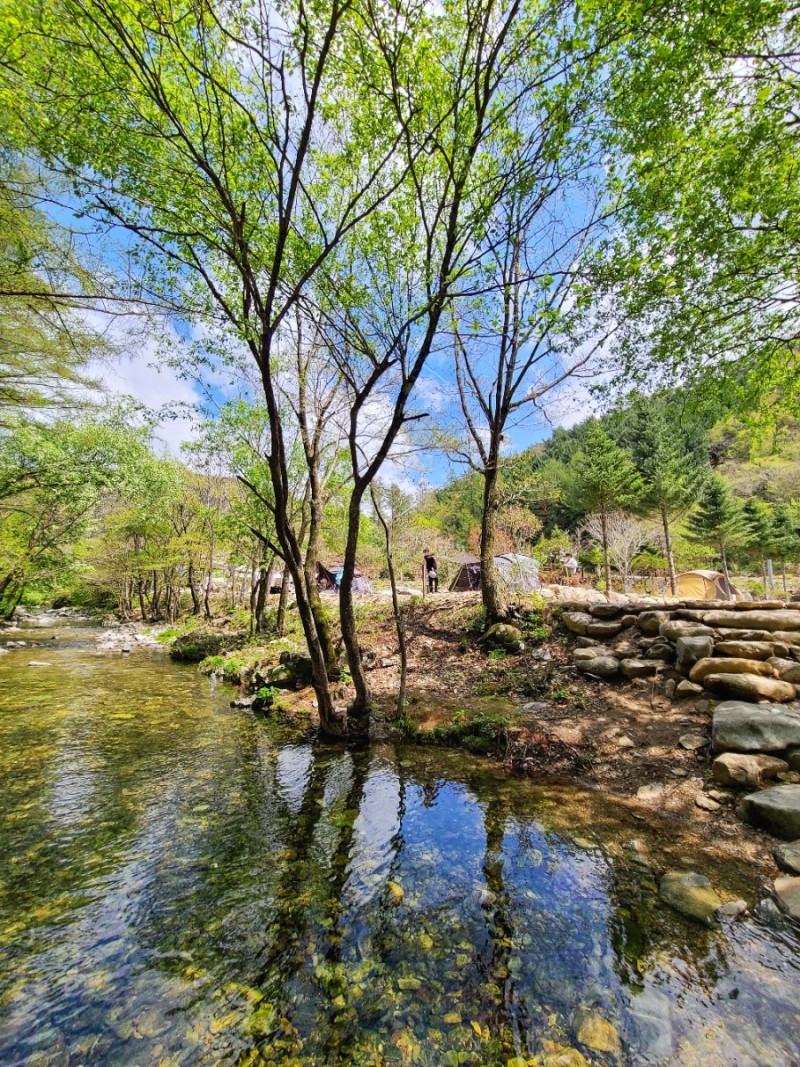 평창 자연속쉼표캠핑장
