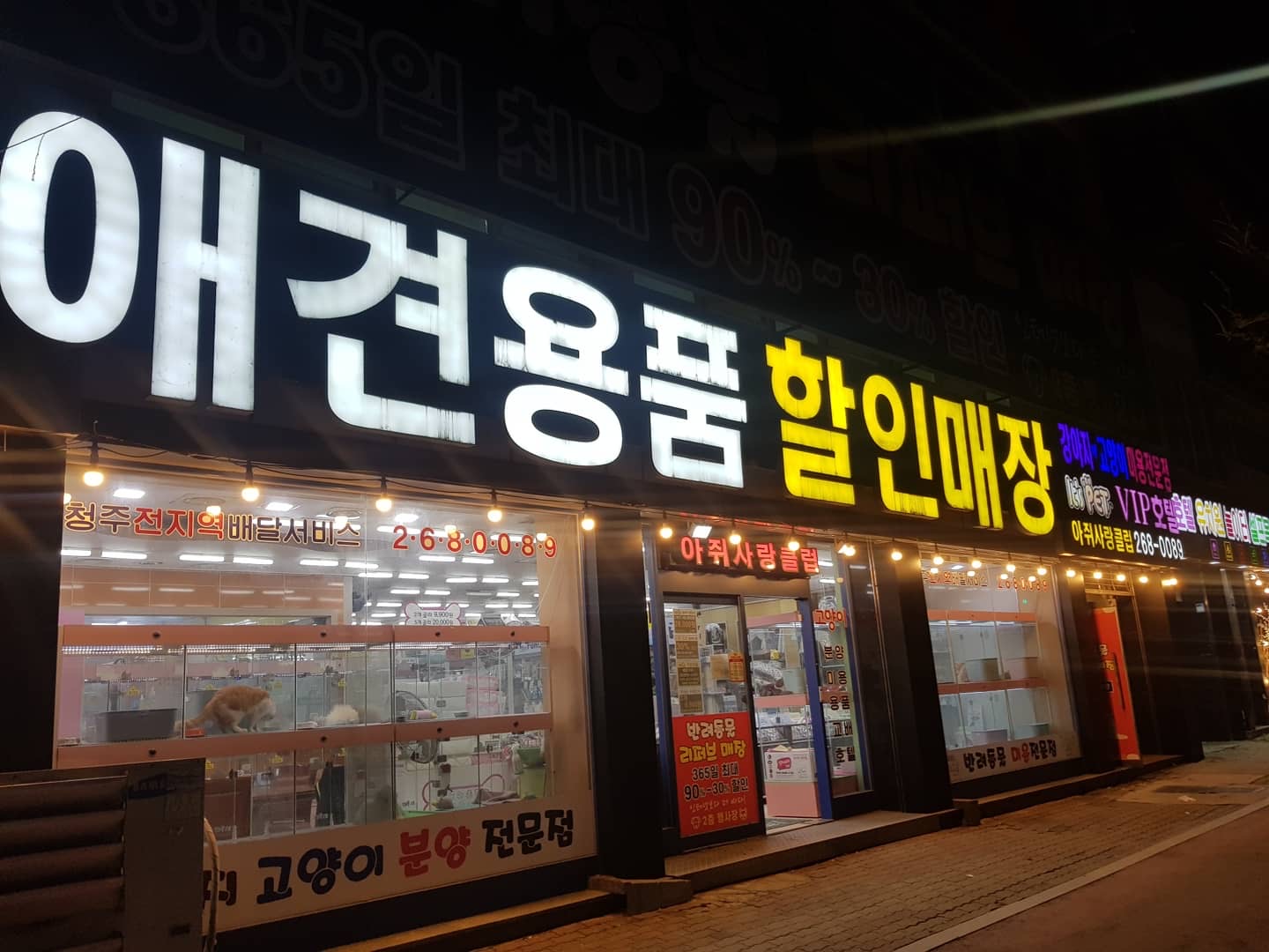 애견용품전문업체 추천 충북 청주시 지역 우수업체 강아지용품 애완용품 애견용품점 반려동물용품점 이츠펫 본점