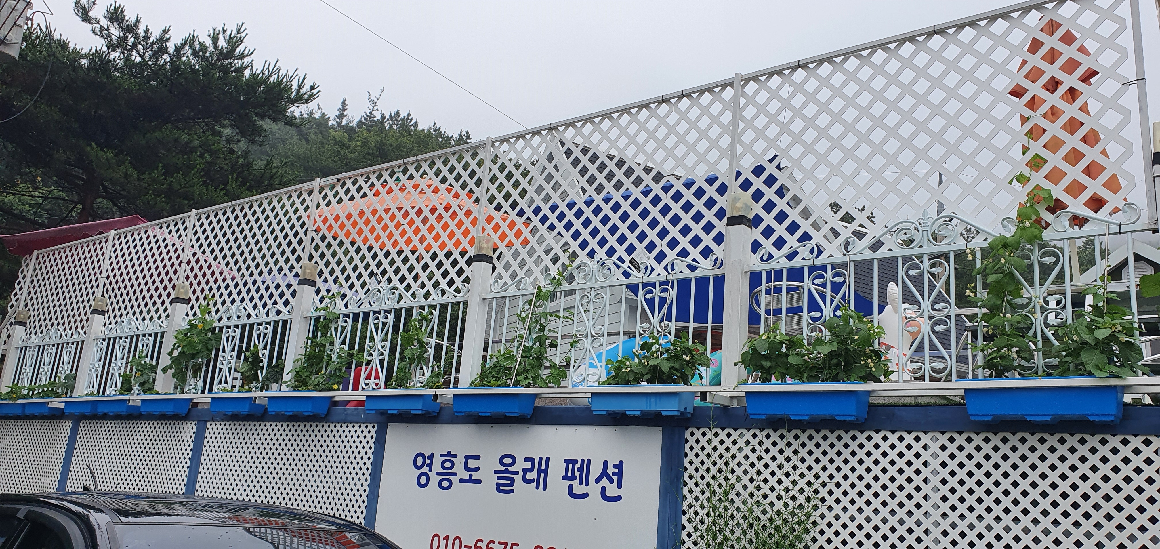 영흥도 올래 펜션