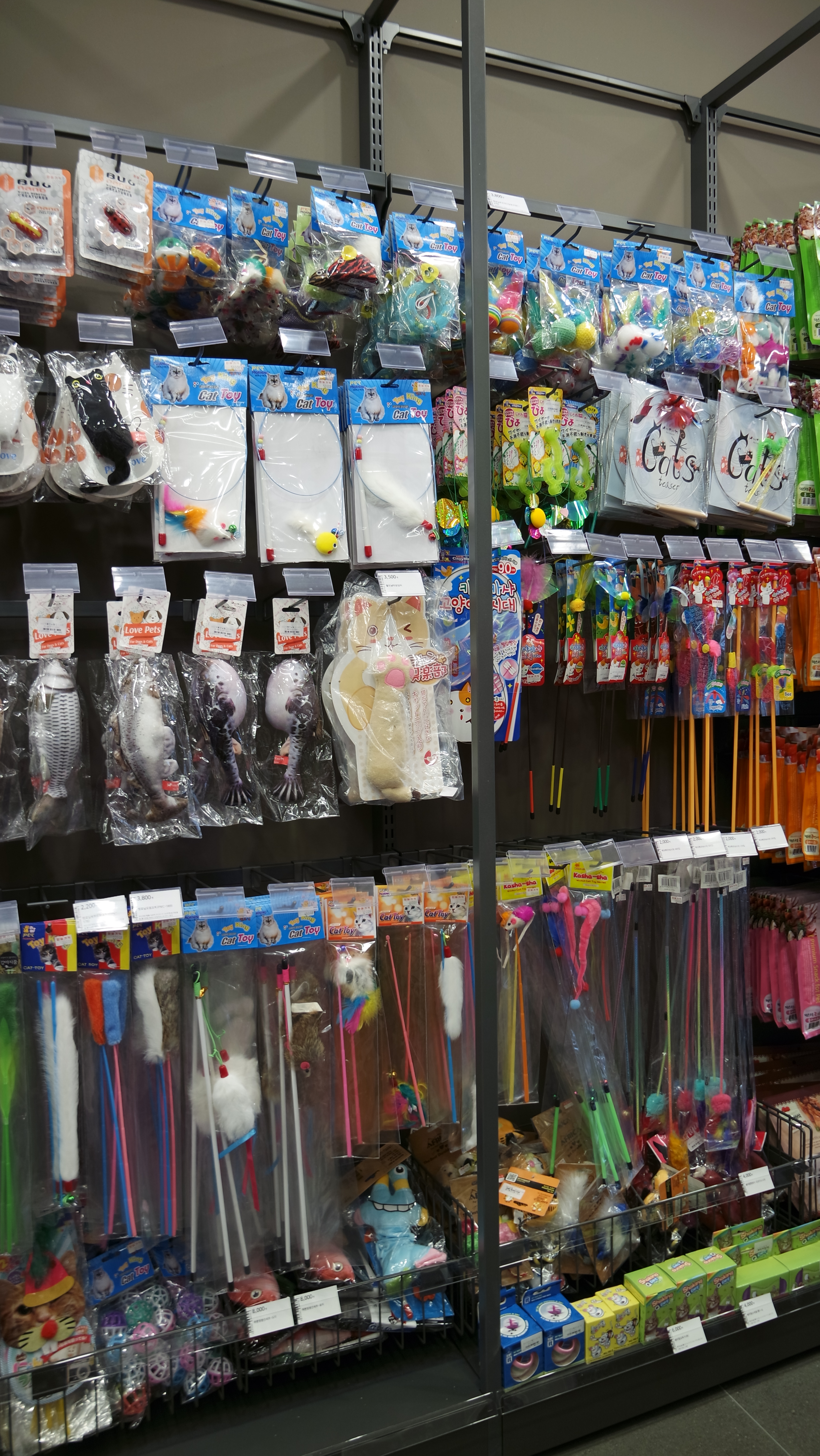 폴리파크 홍대점 대표 이미지