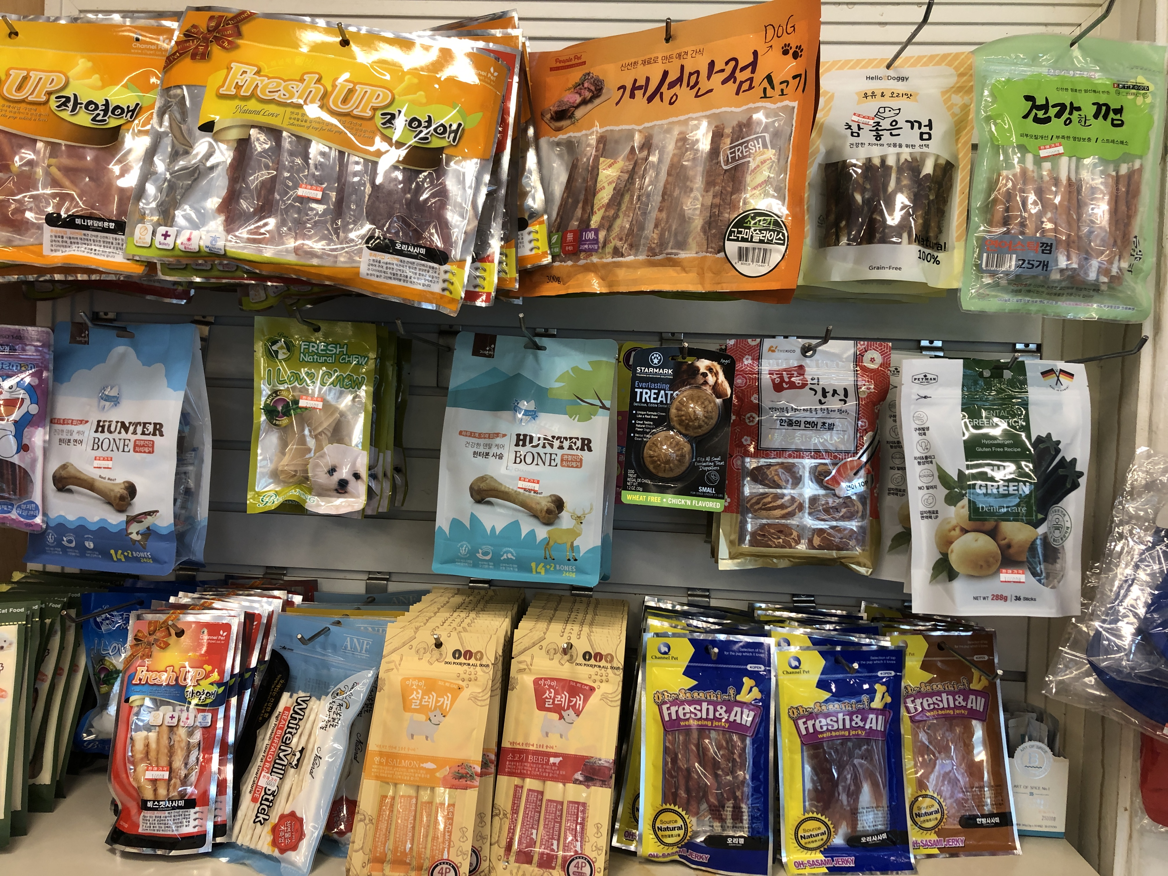 애견의명가궁 전라 애견숙소