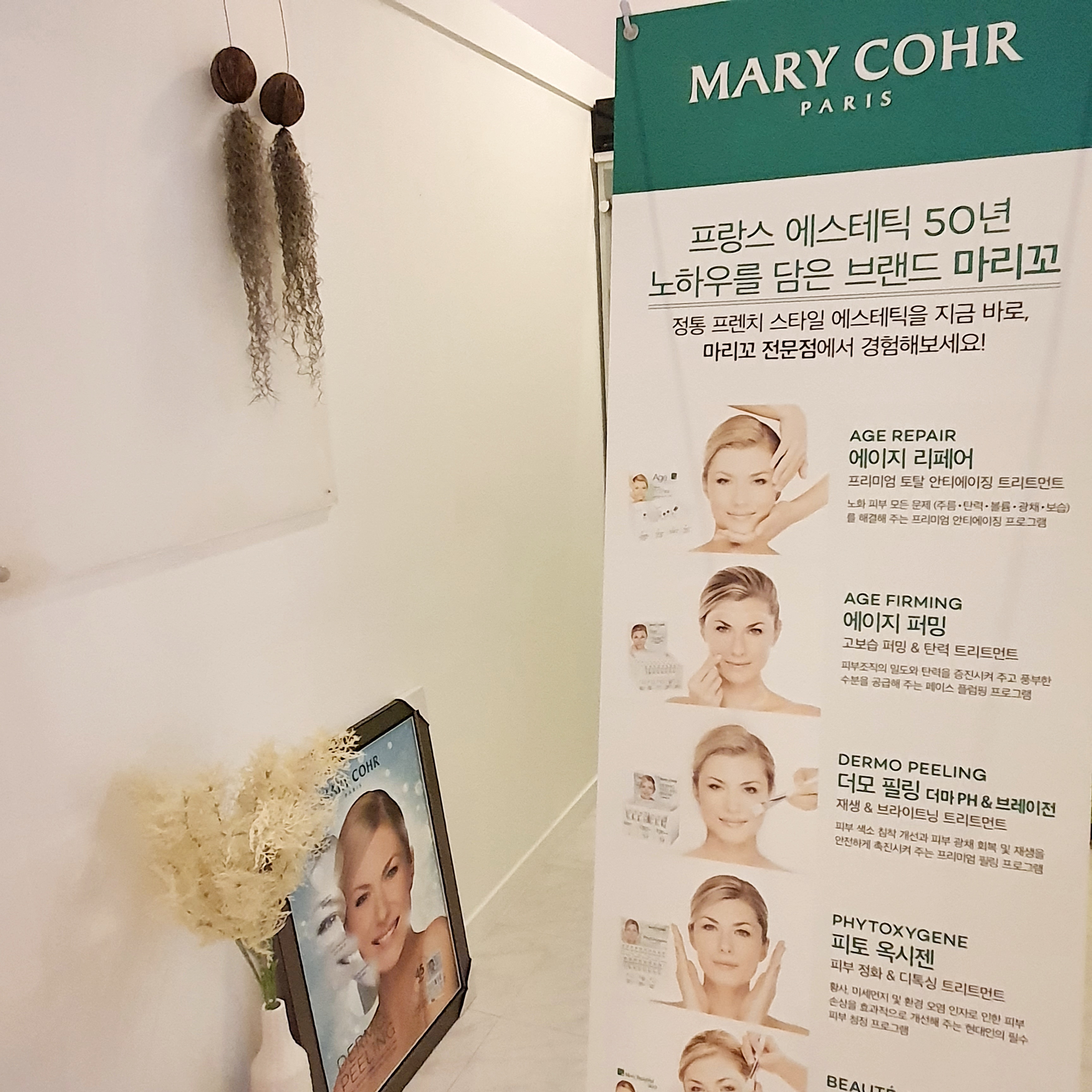 약손체형관리