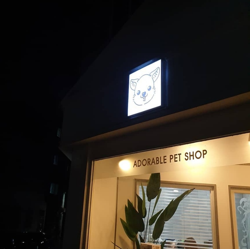 어도러블 대표 이미지