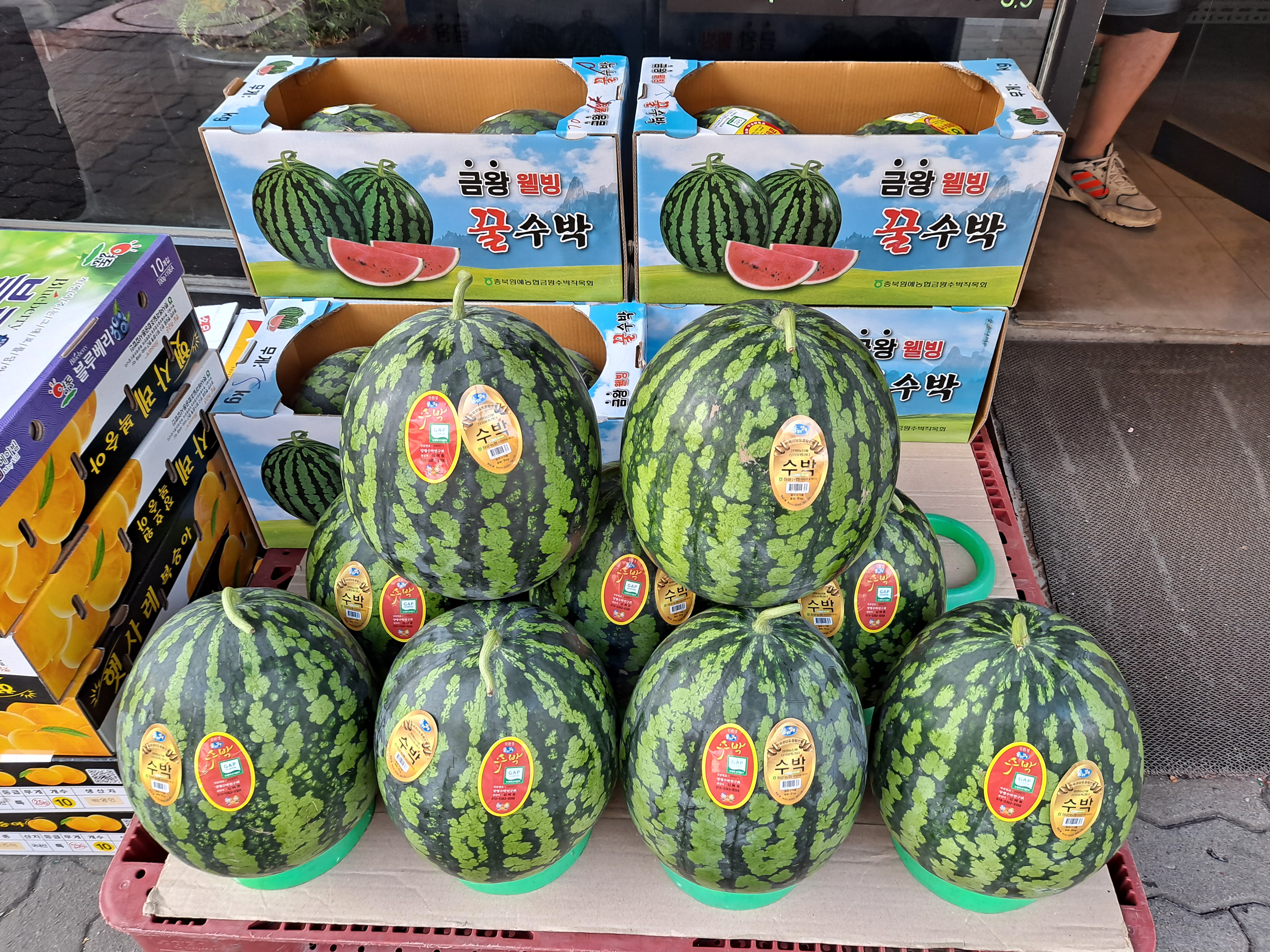 과일원두막
