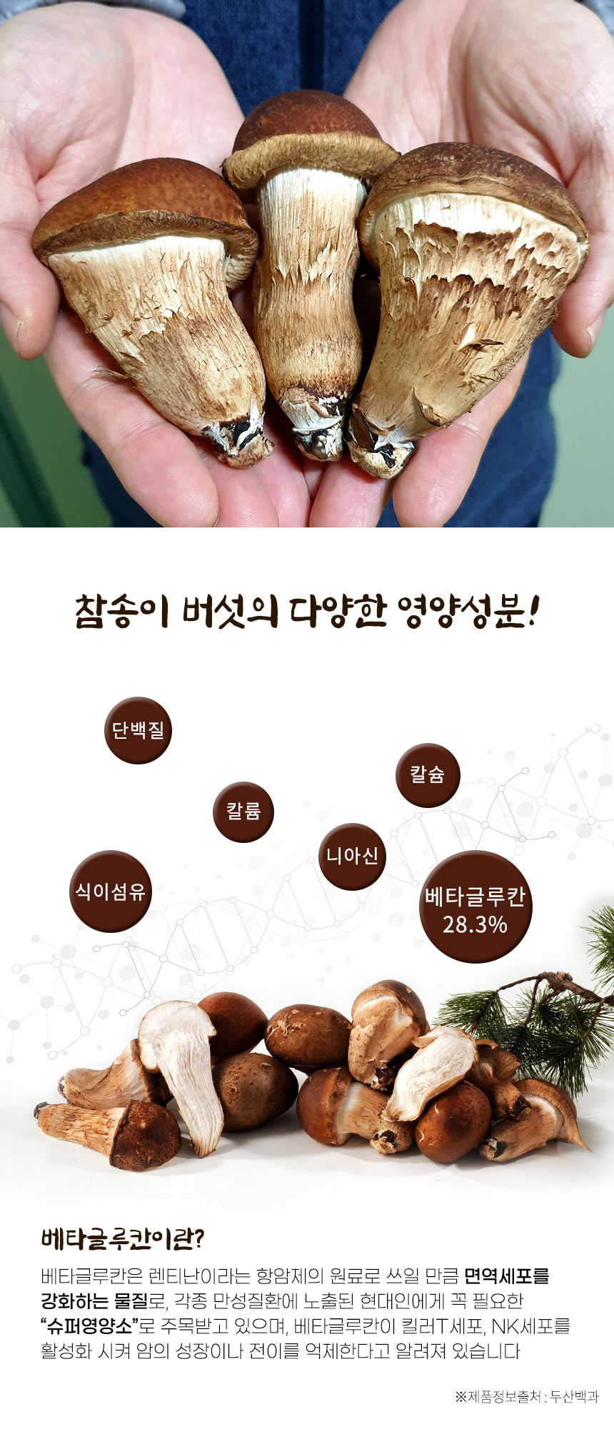 옥과농원