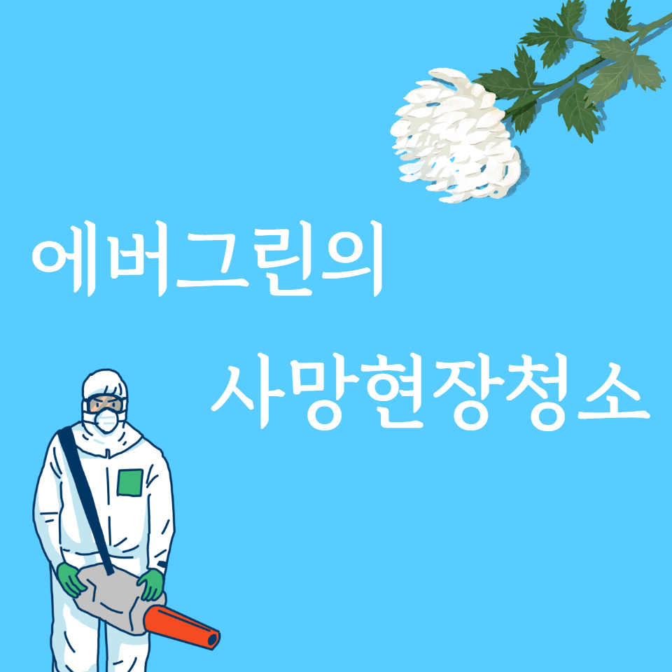 특수청소에버그린