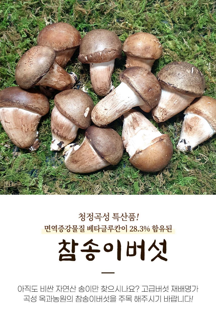 옥과농원