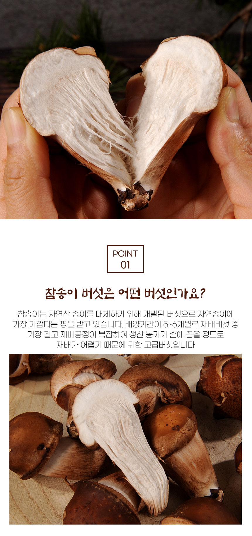 옥과농원