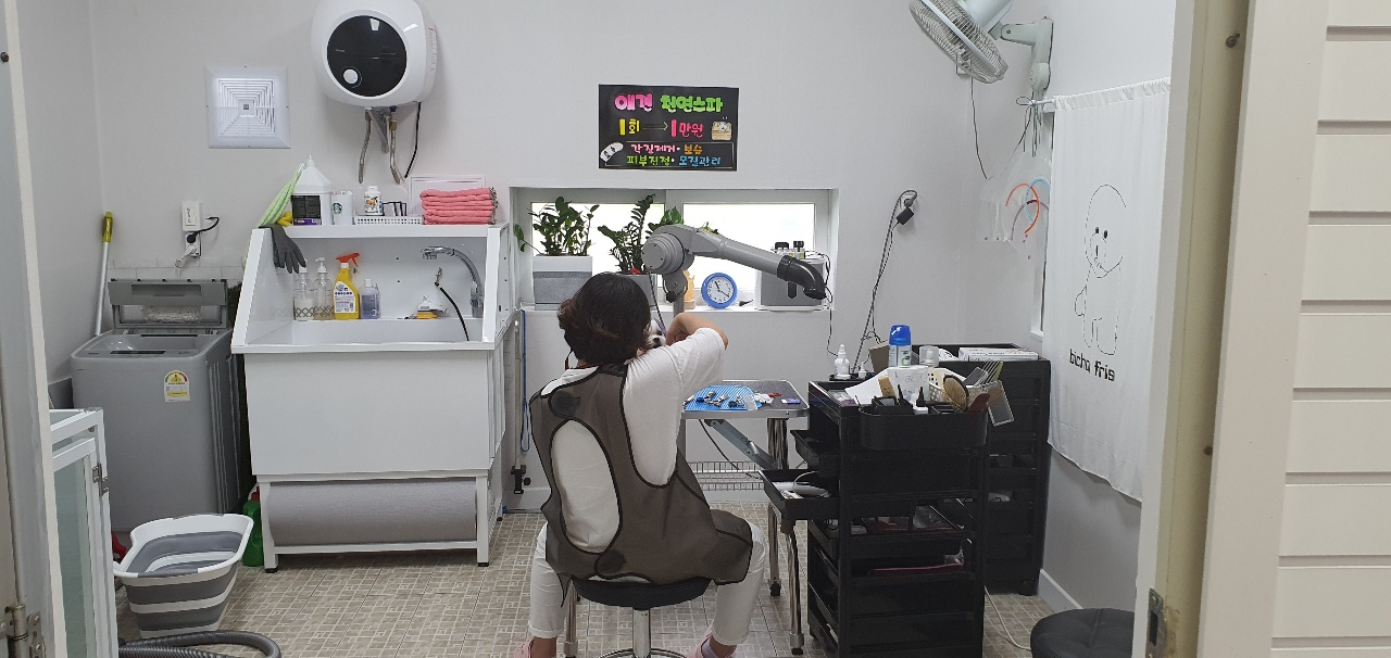 냥이멍이세상