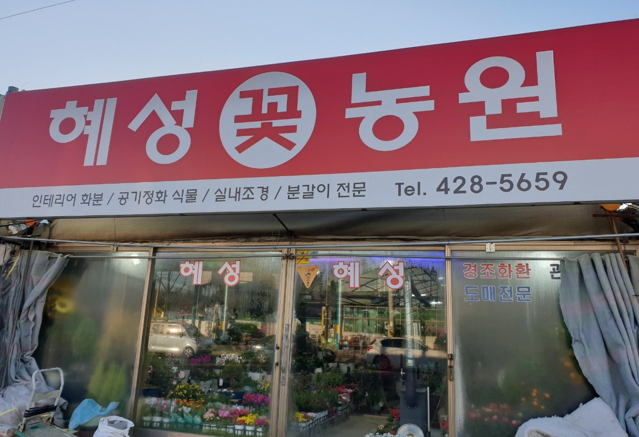 혜성꽃농원