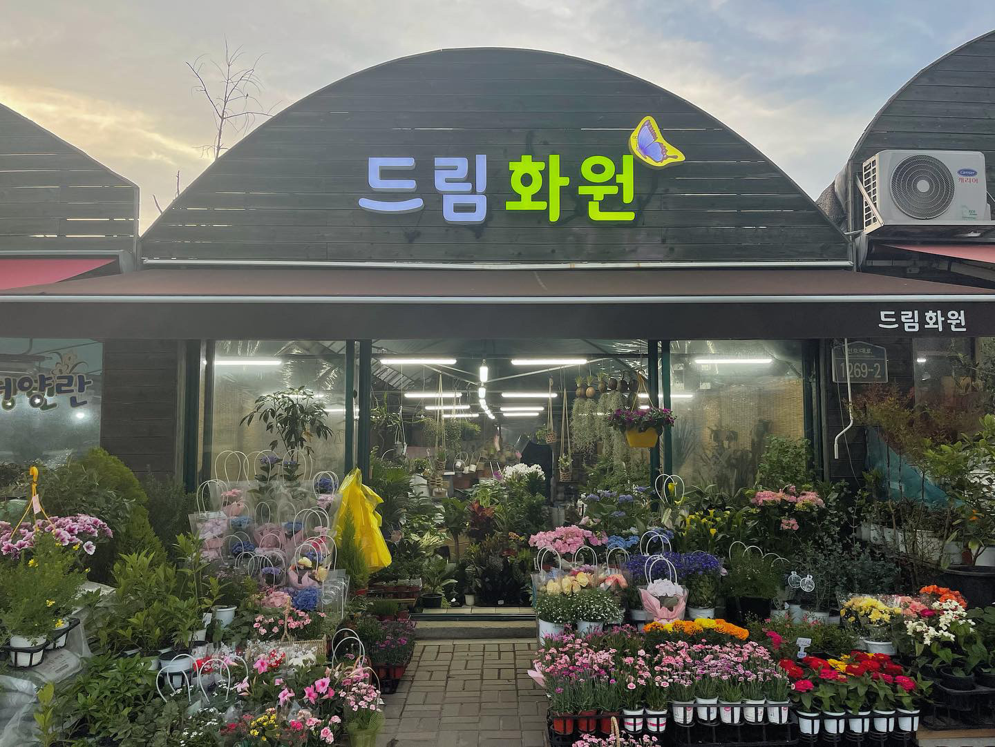 드림화원
