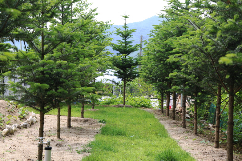 새소리민박