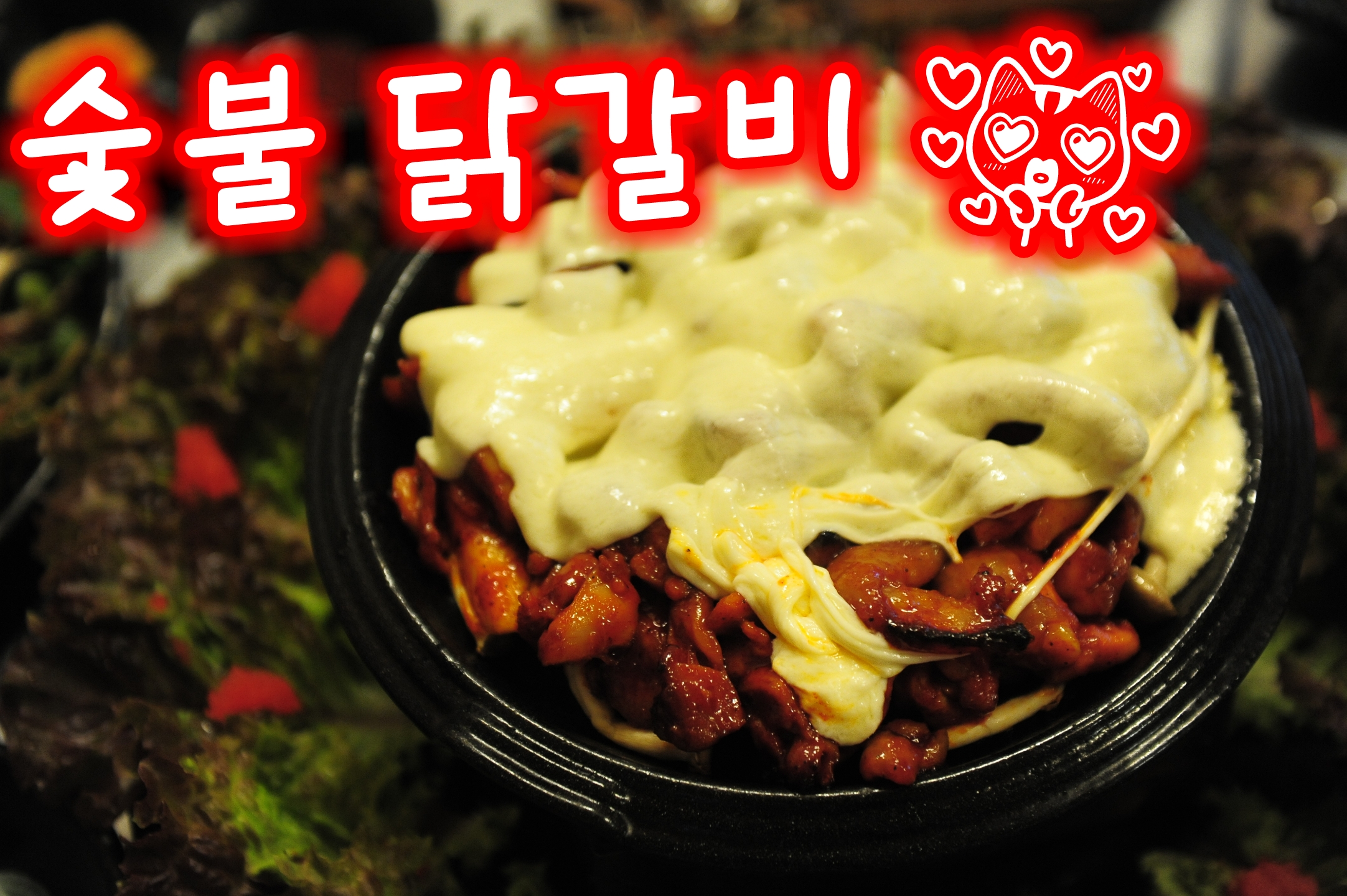 장닭과촌닭 6