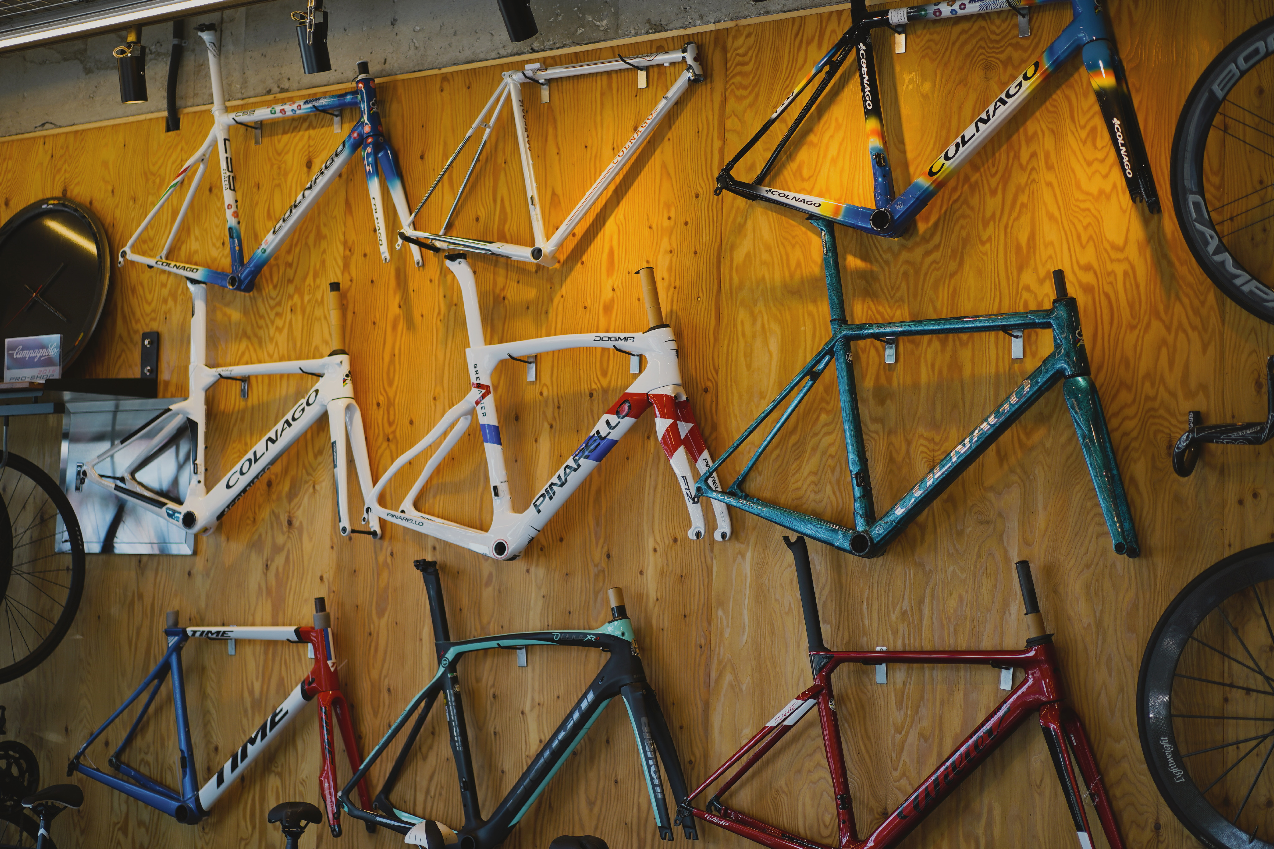 레드도트 대표 이미지