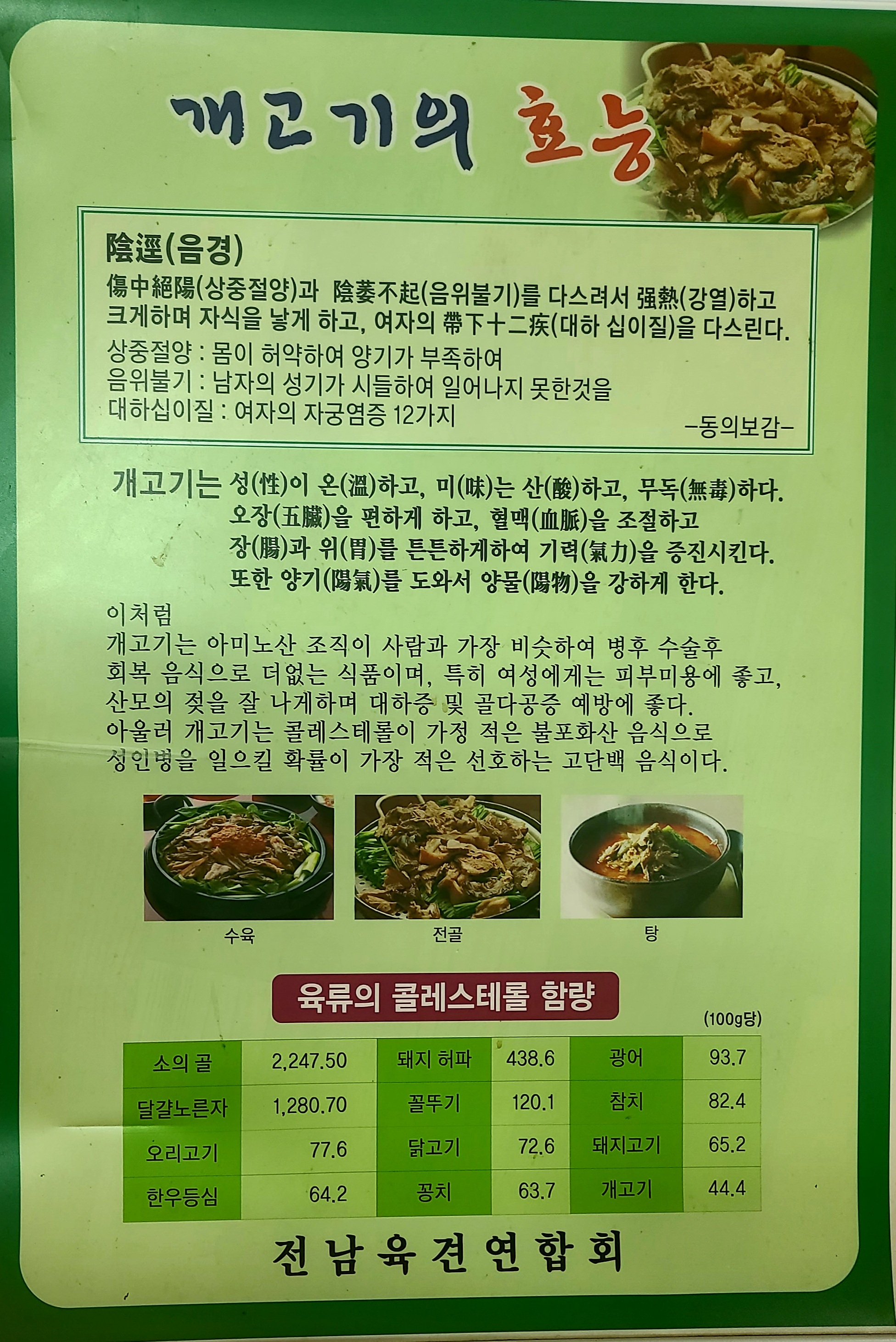 느티 충청 애견맛집